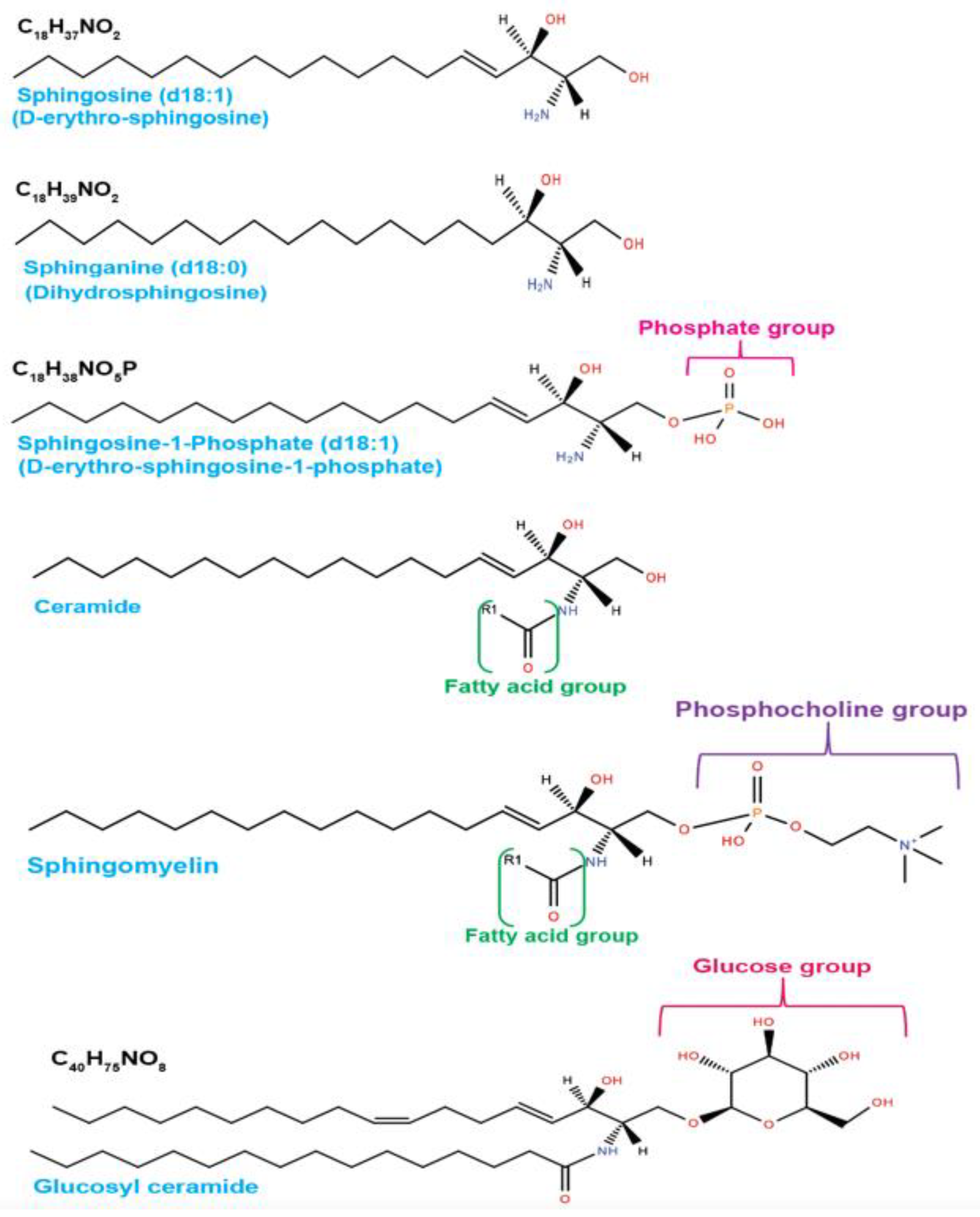 Cancers 14 02183 g002