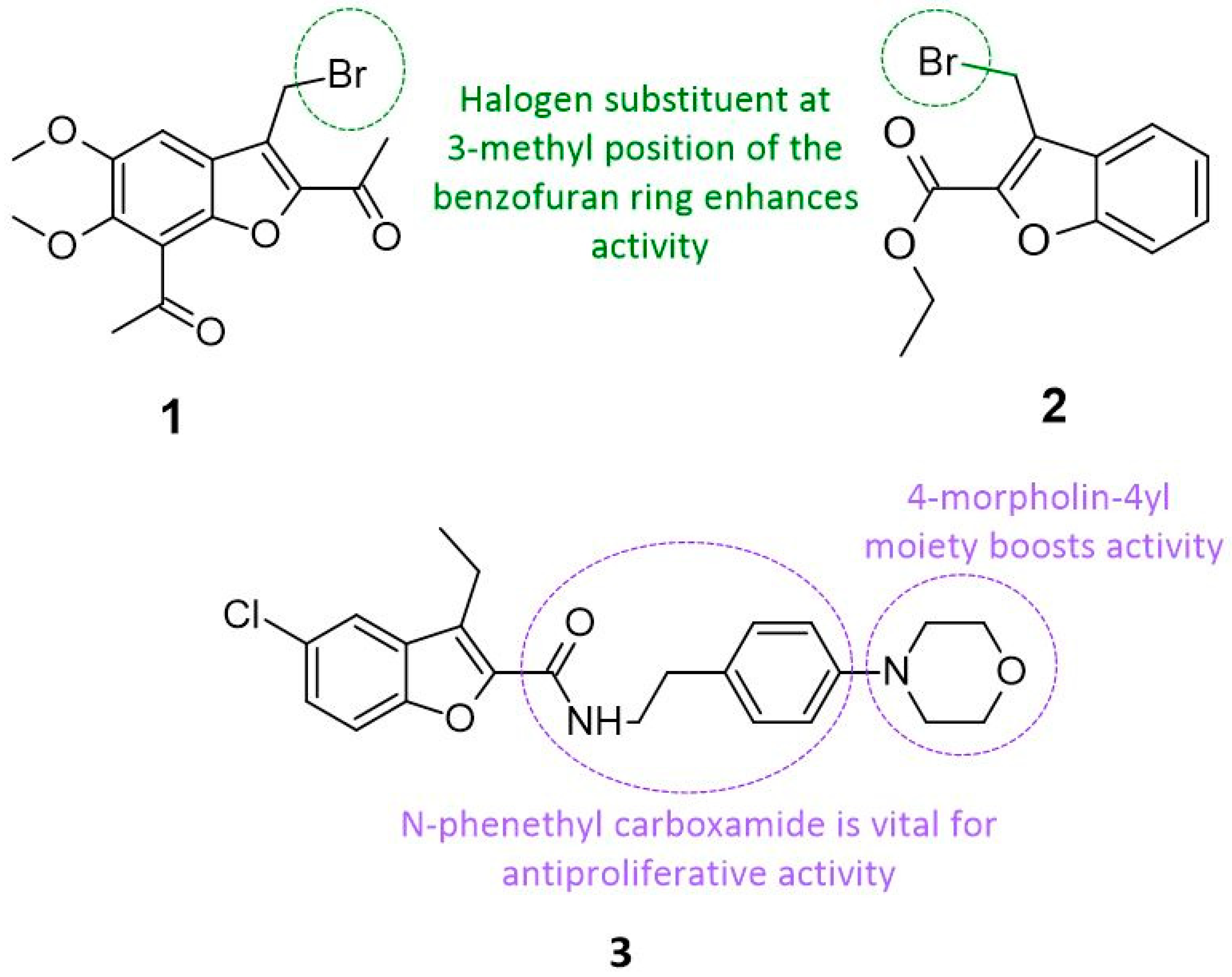 Cancers 14 02196 g002