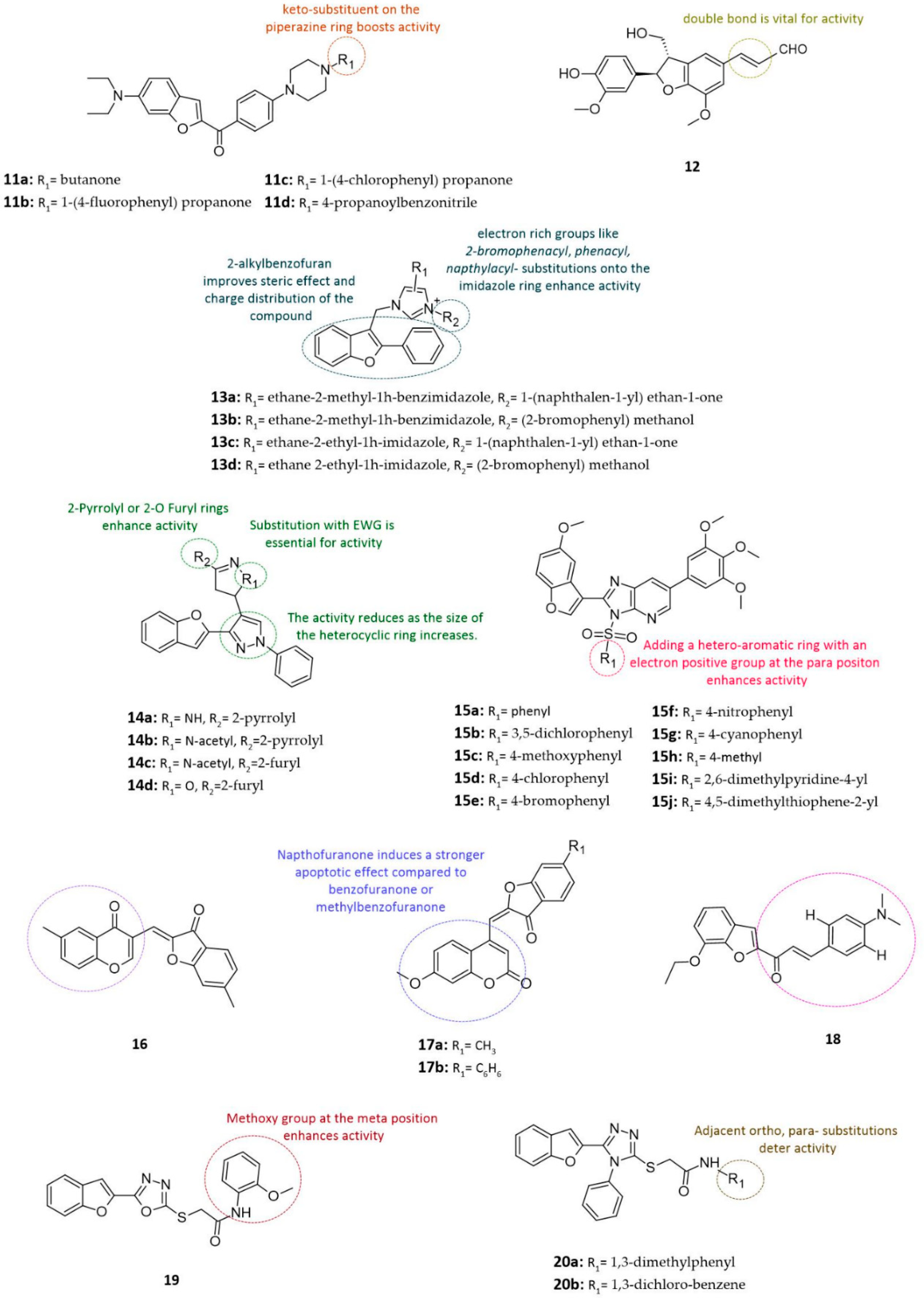 Cancers 14 02196 g004