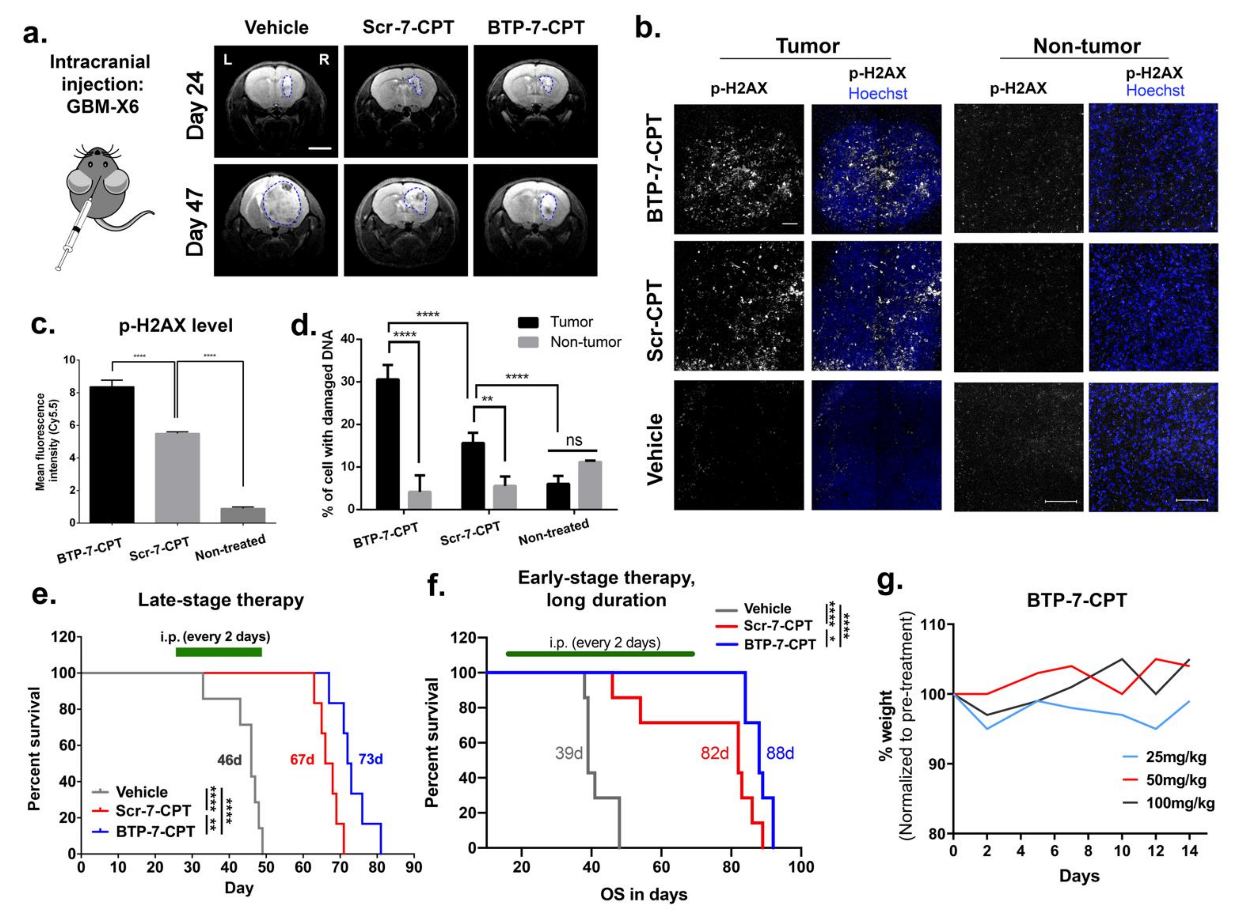 Cancers 14 02207 g006 Cancers 14 02207 g006