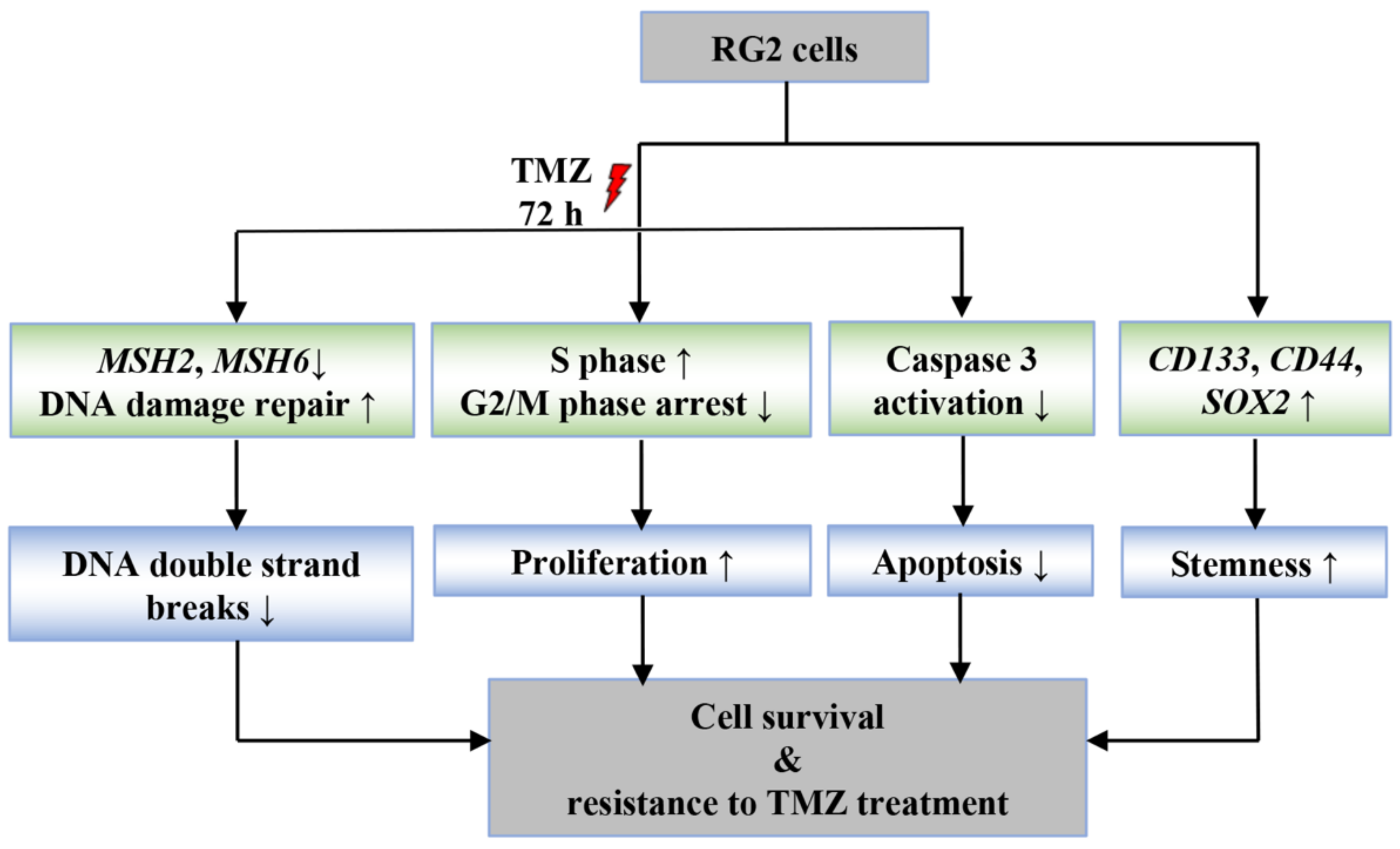 Cancers 14 02211 g008