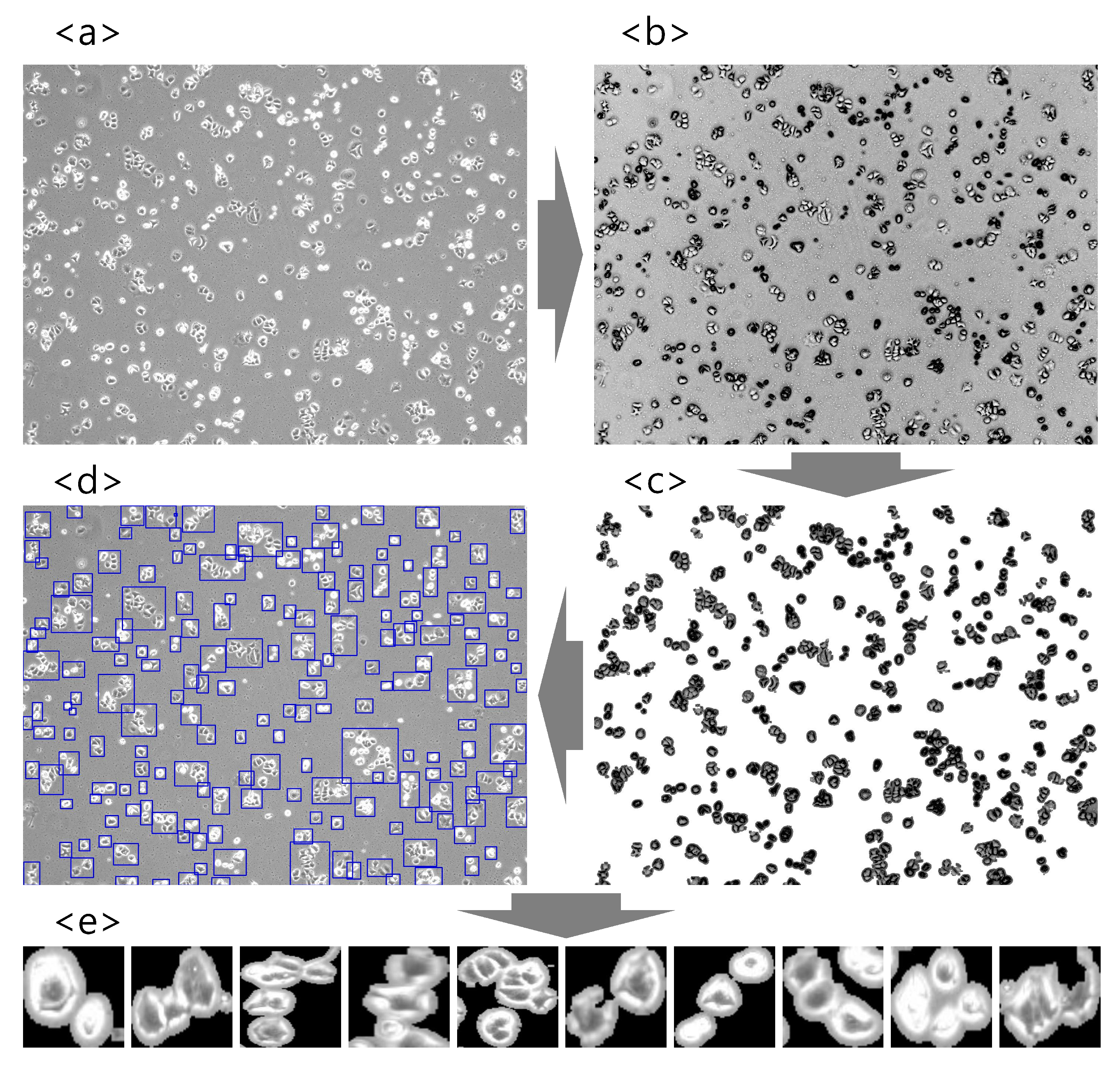 Cancers 14 02224 g002 Cancers 14 02224 g002