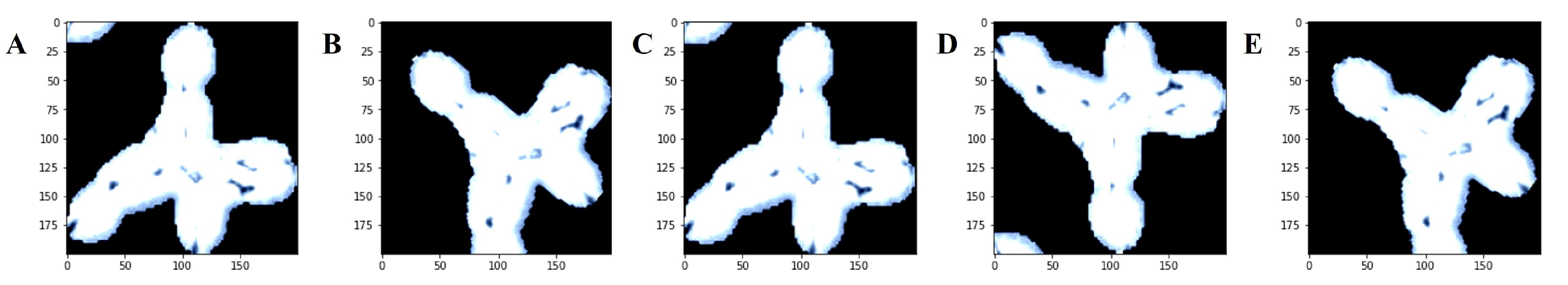 Cancers 14 02224 g003 Cancers 14 02224 g003