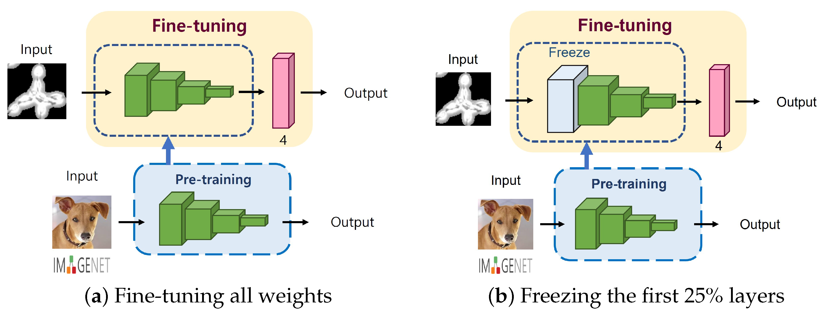 Cancers 14 02224 g004 Cancers 14 02224 g004