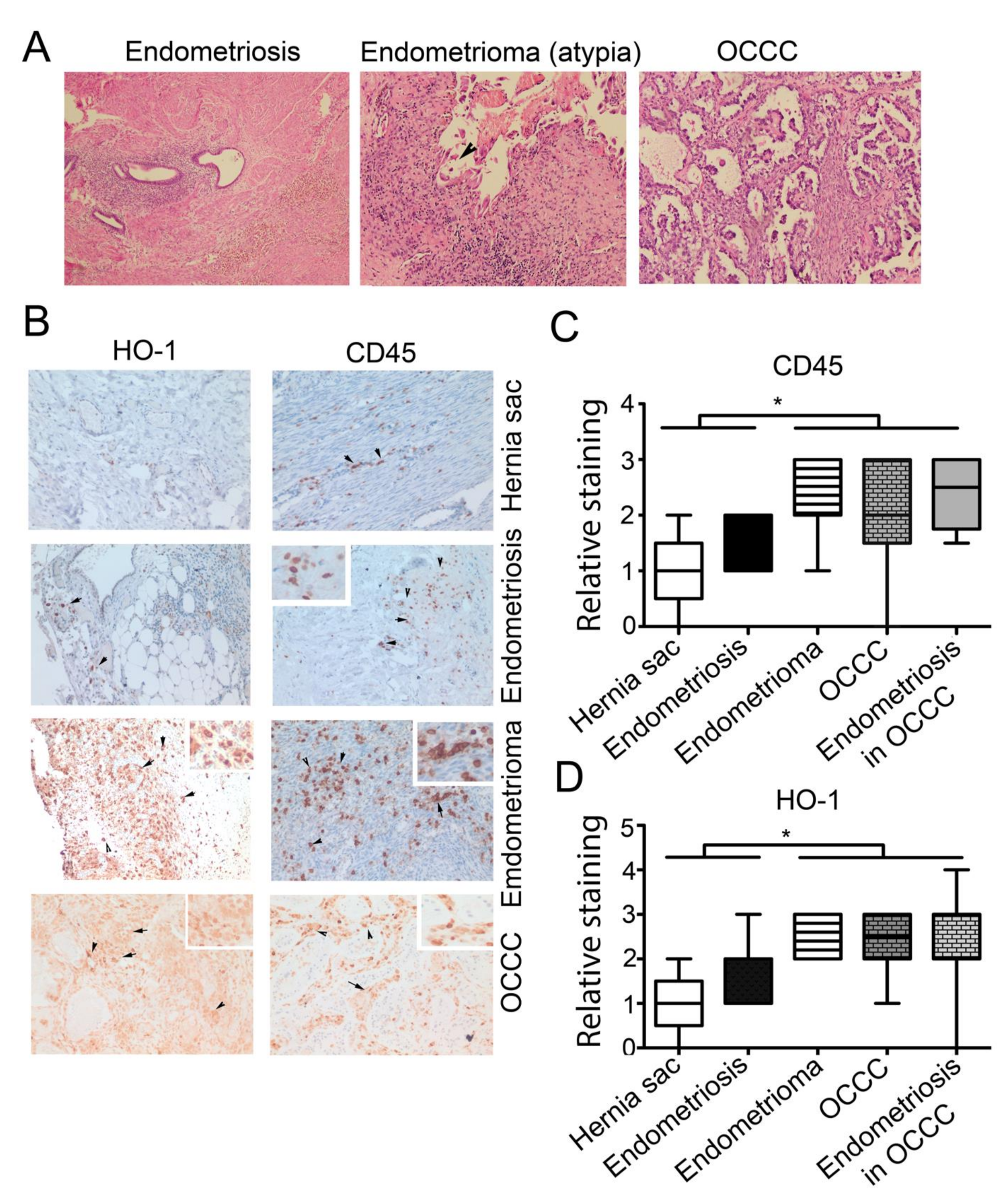 Cancers 14 02242 g002