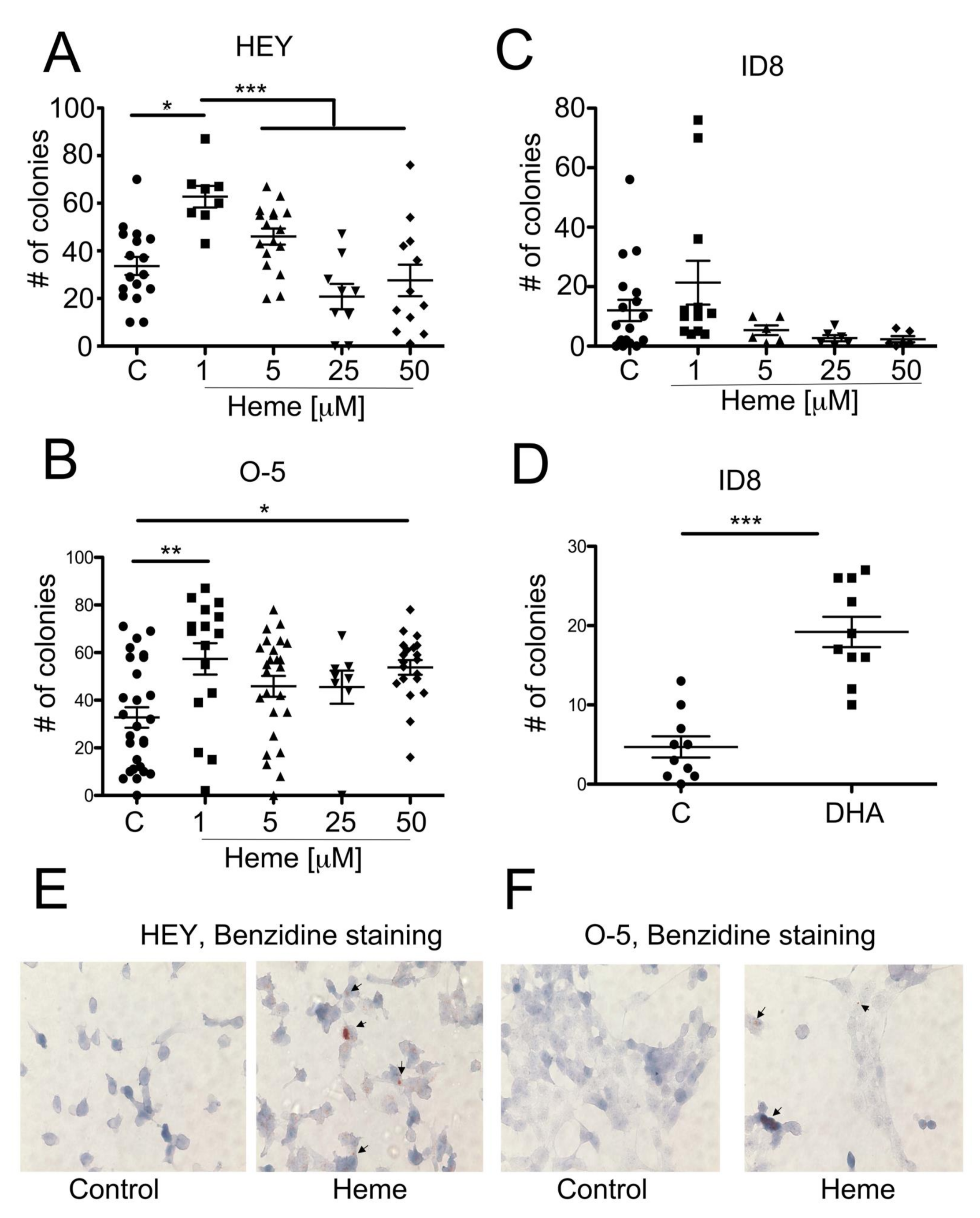 Cancers 14 02242 g004