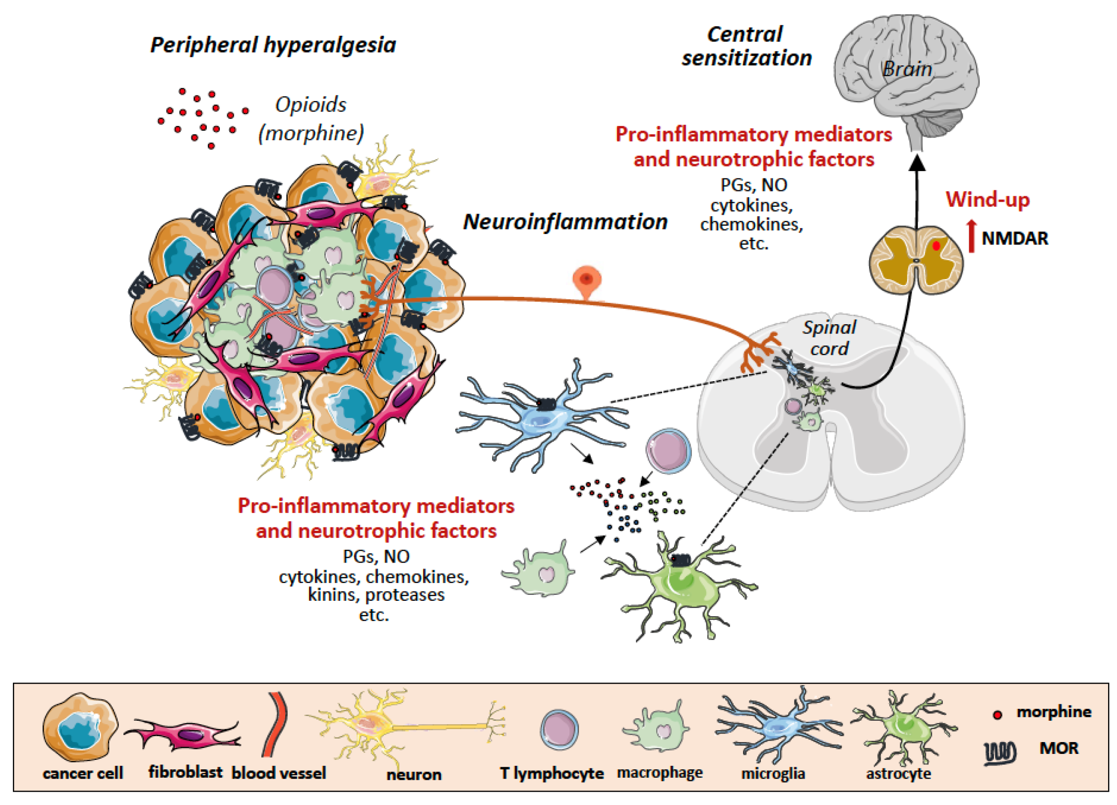 Cancers 14 02253 g002