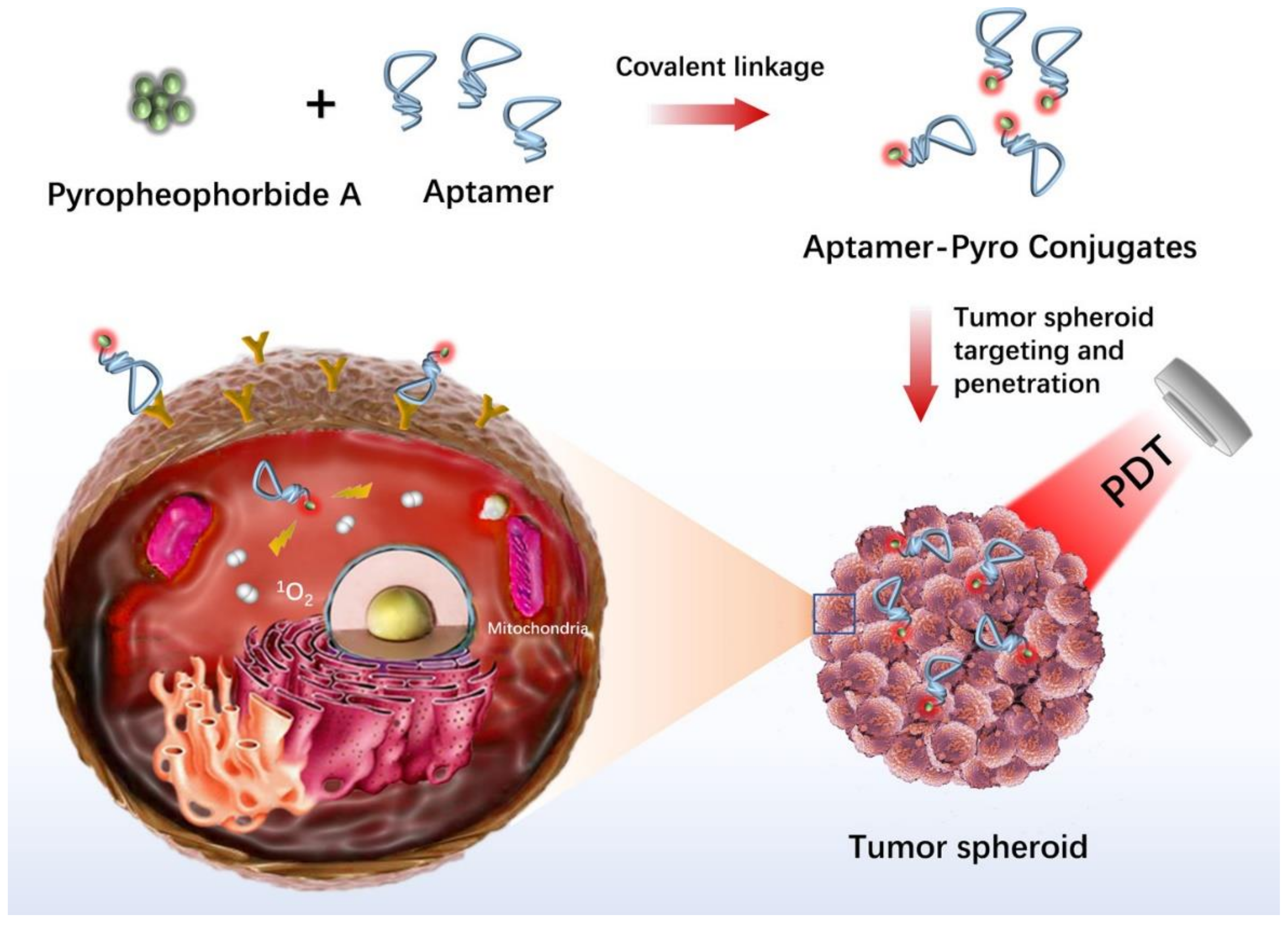Cancers 14 02284 g006