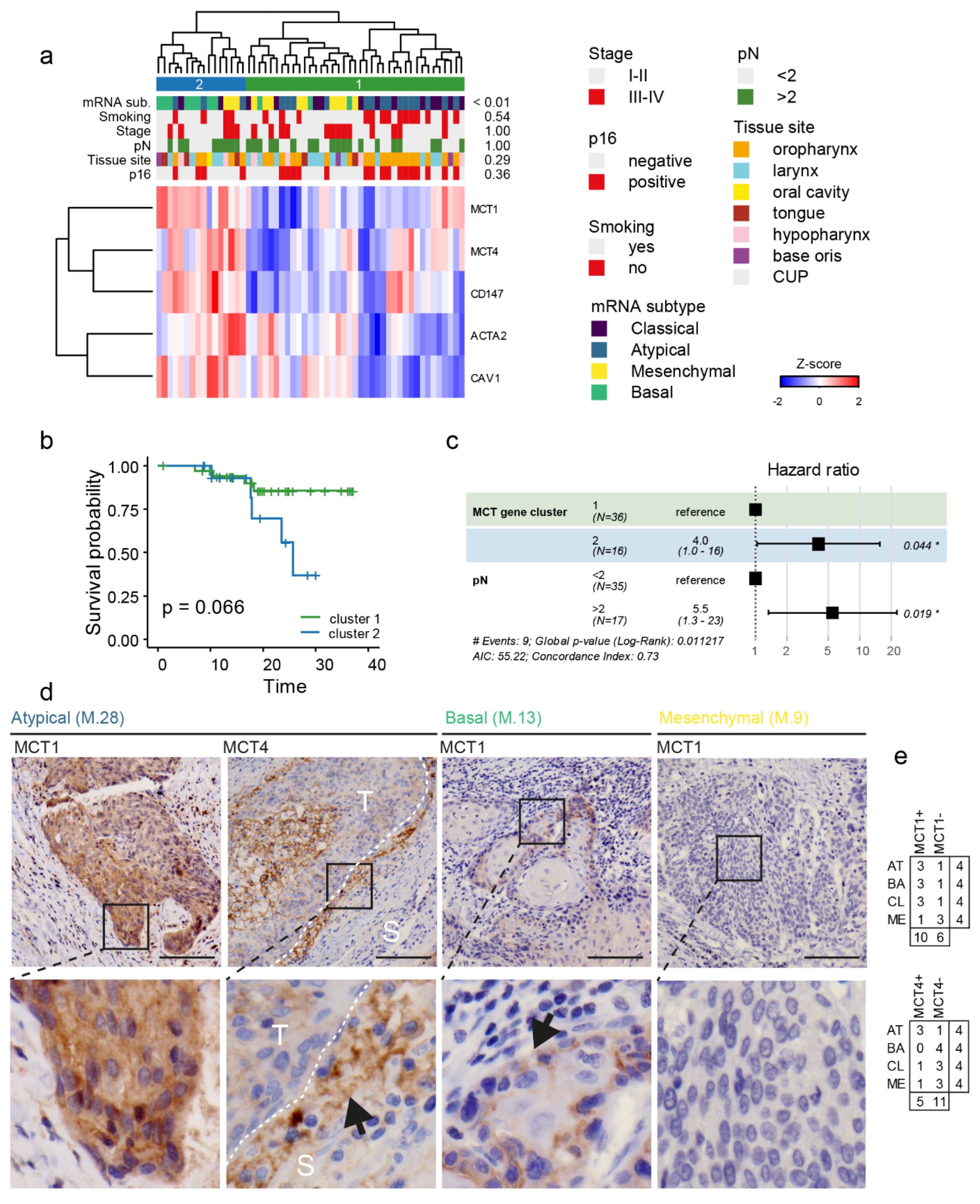 Cancers 14 02286 g005