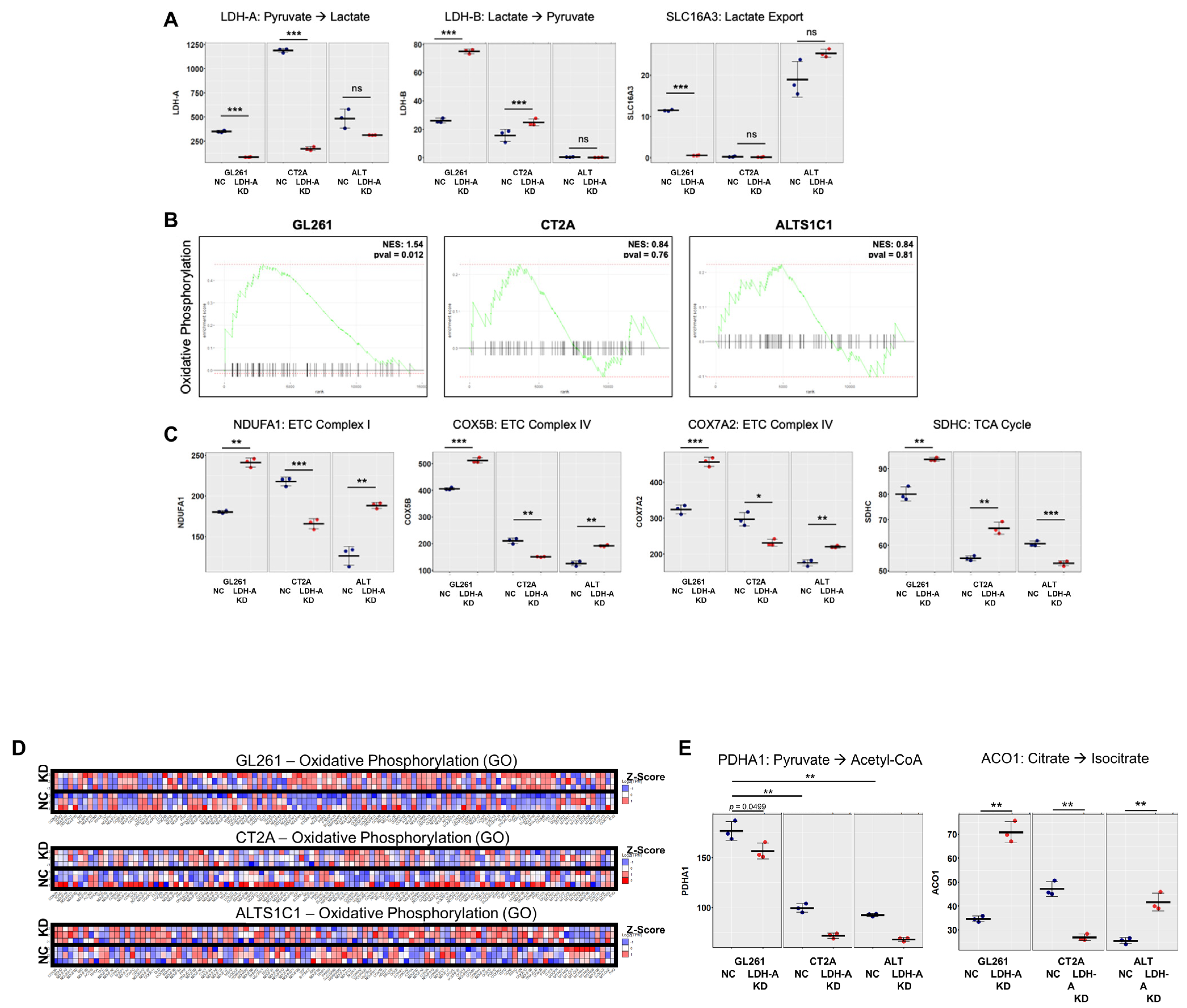 Cancers 14 02303 g003