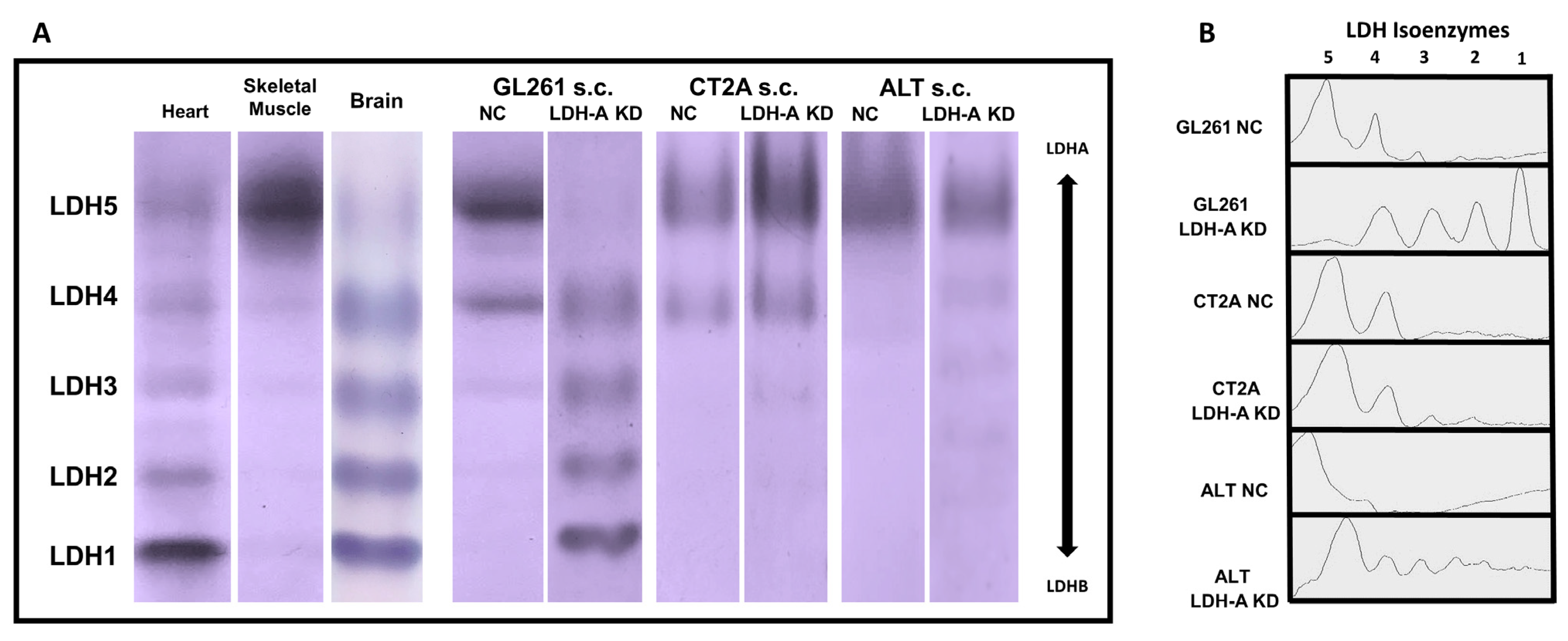 Cancers 14 02303 g006