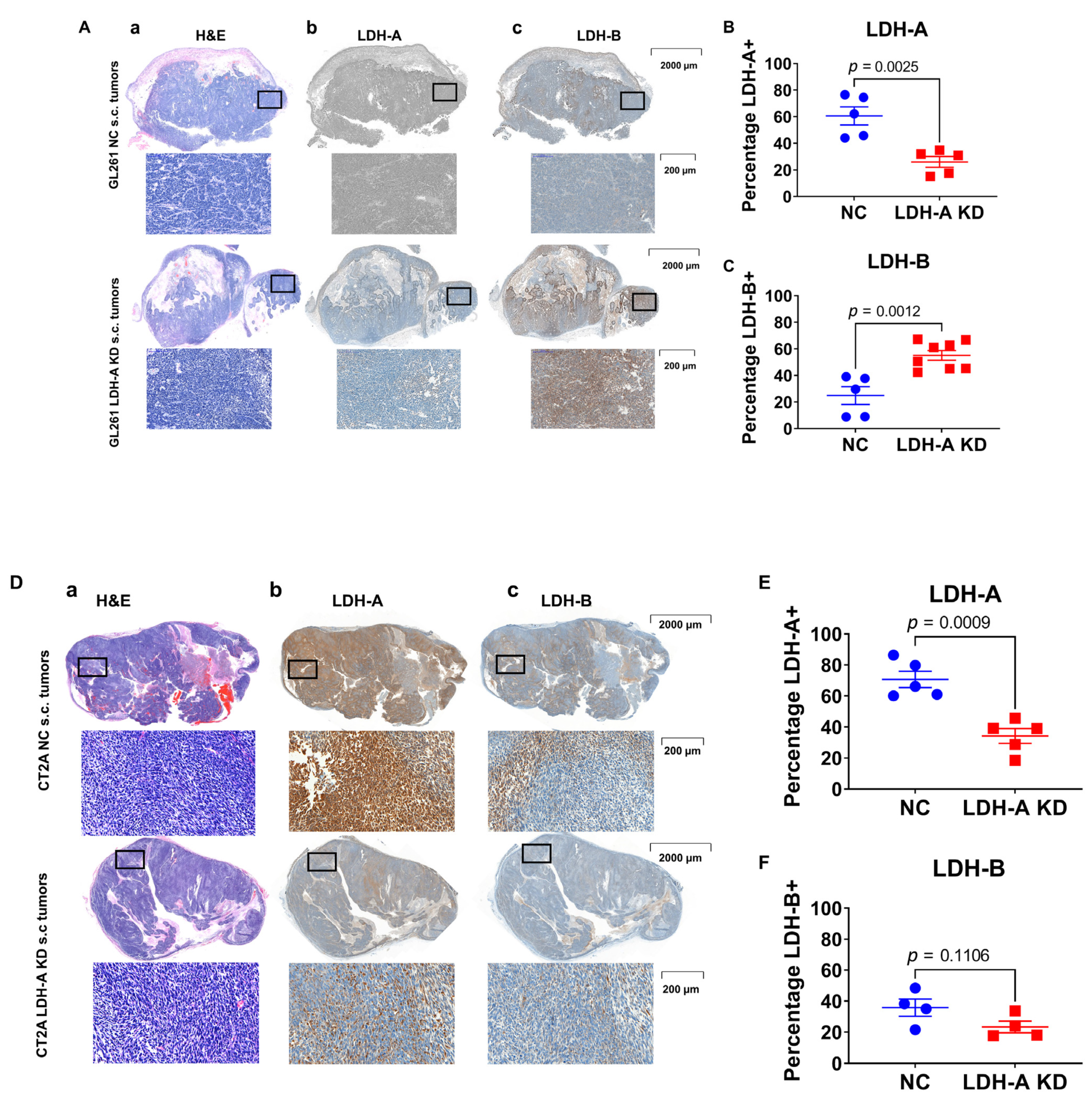 Cancers 14 02303 g007