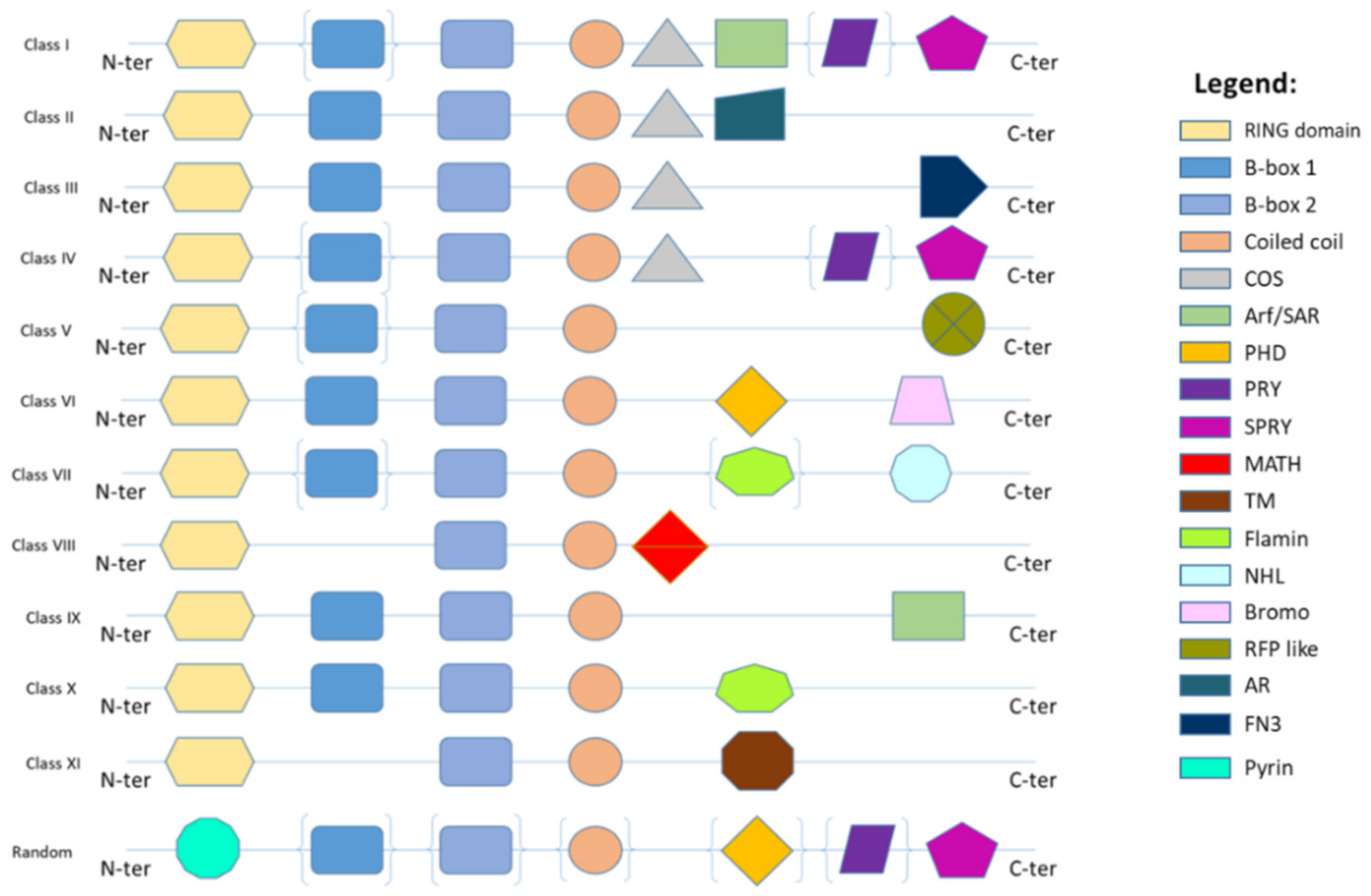 Cancers 14 02309 g001