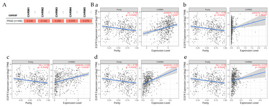 Muscarinic Receptors Associated with Cancer 