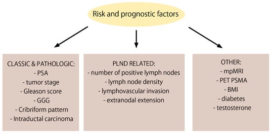 Cancers Free Full Text Patients With Positive Lymph Nodes After 1740