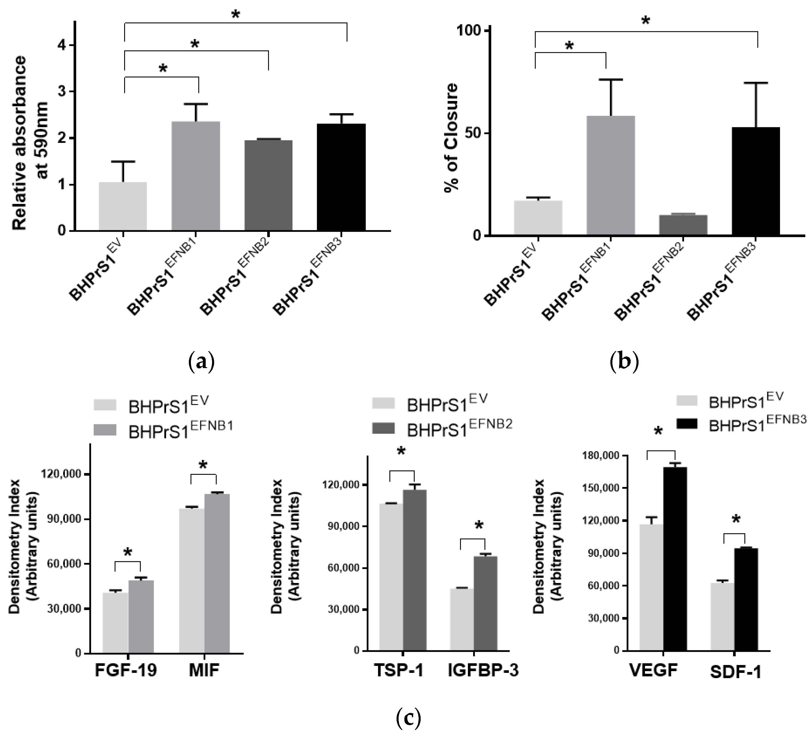 Cancers 14 02336 g003