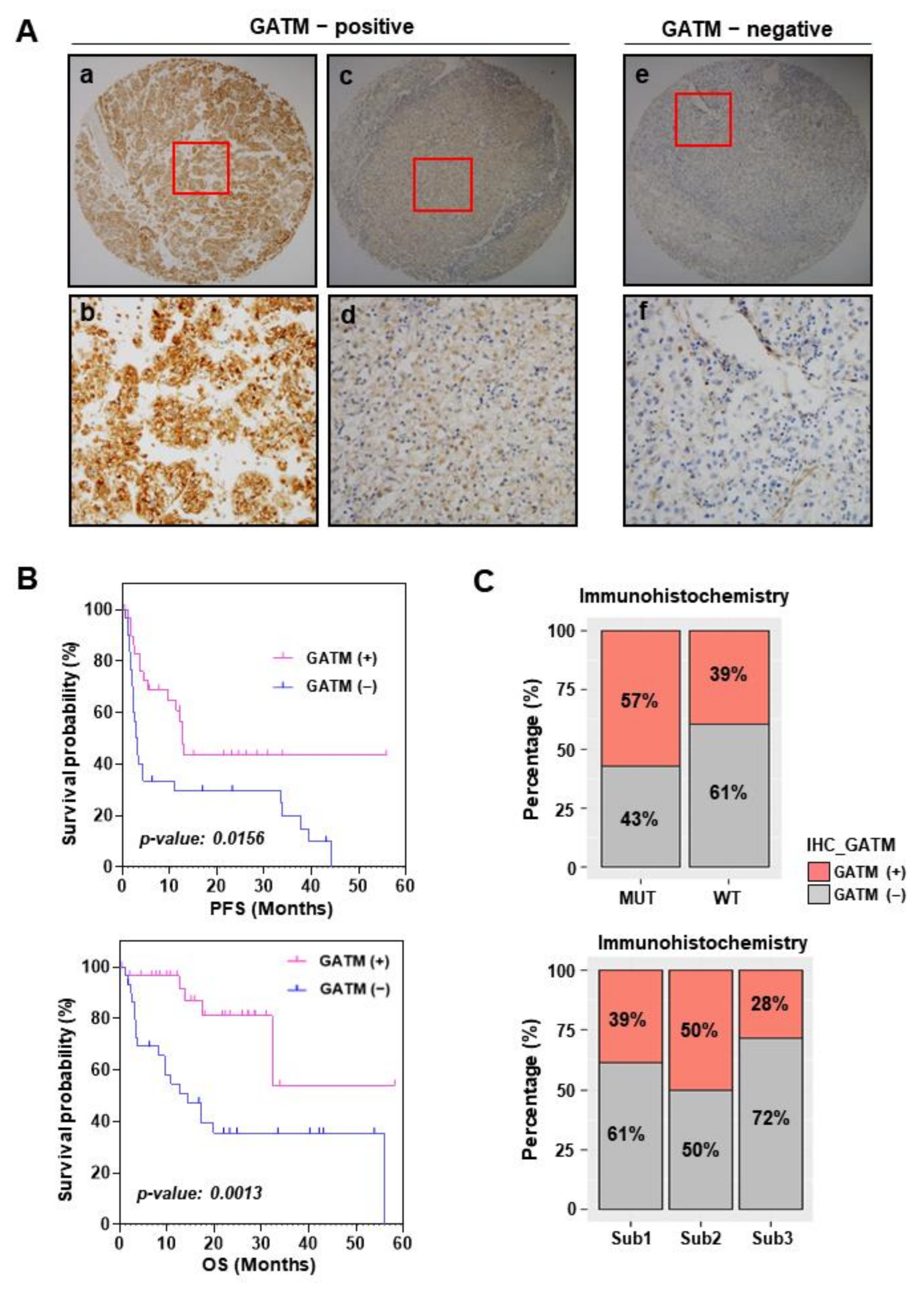 Cancers 14 02354 g005