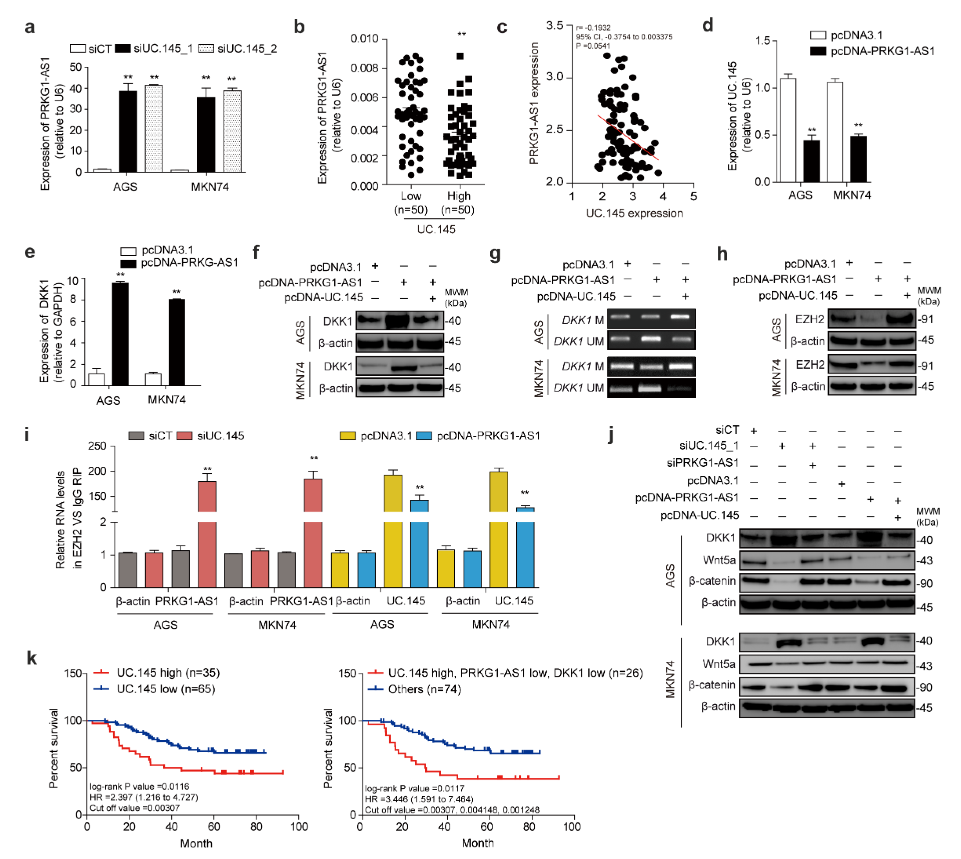 Cancers 14 02369 g005 Cancers 14 02369 g005