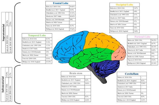 Cancers | Free Full-Text | Epidemiology of Glioblastoma Multiforme ...