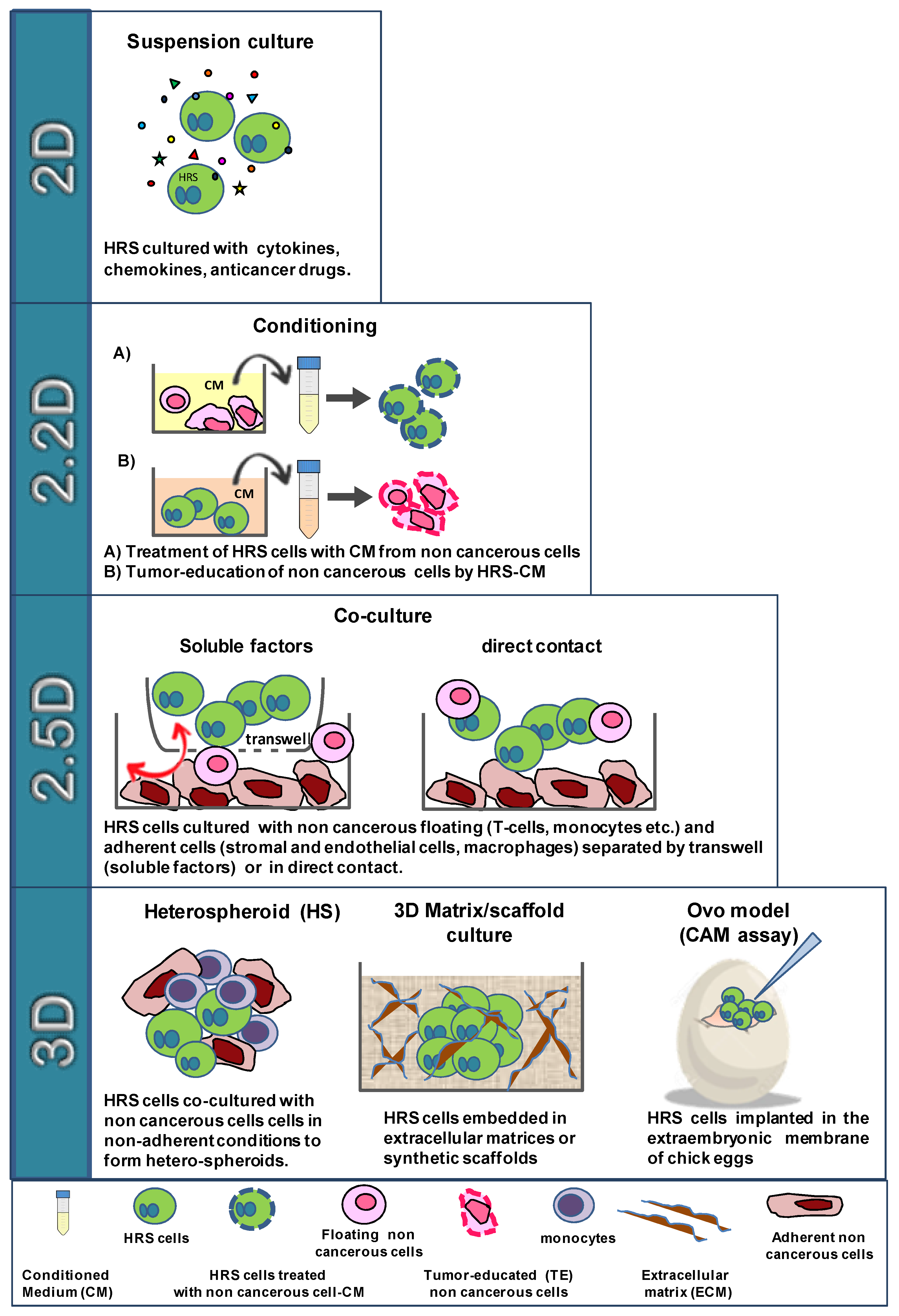 Cancers 14 02427 g002