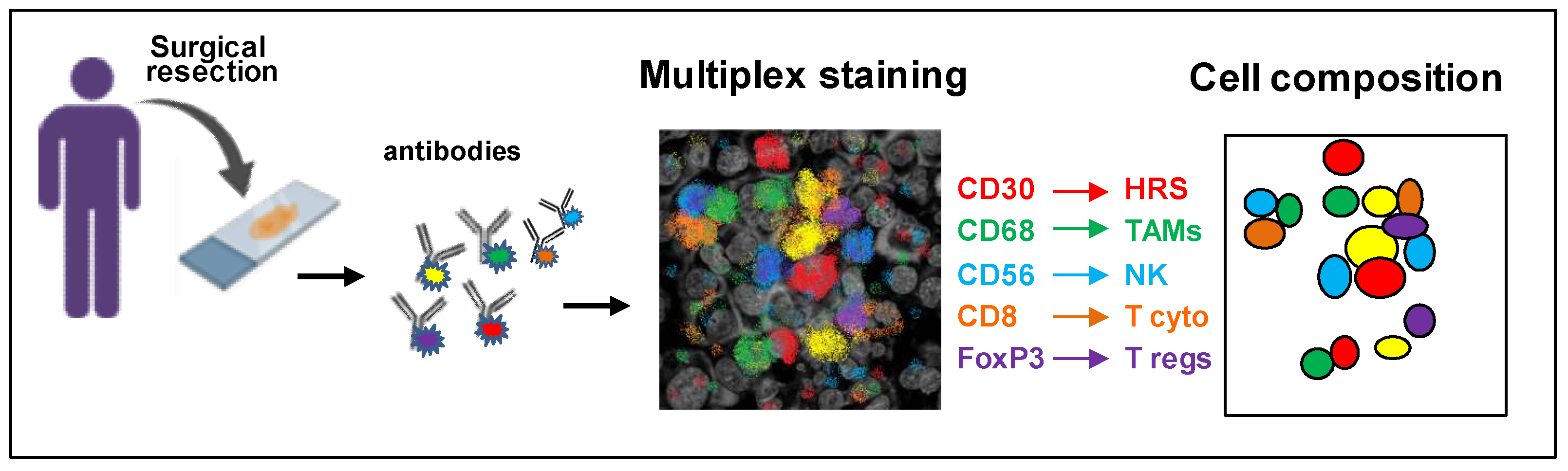 Cancers 14 02427 g003