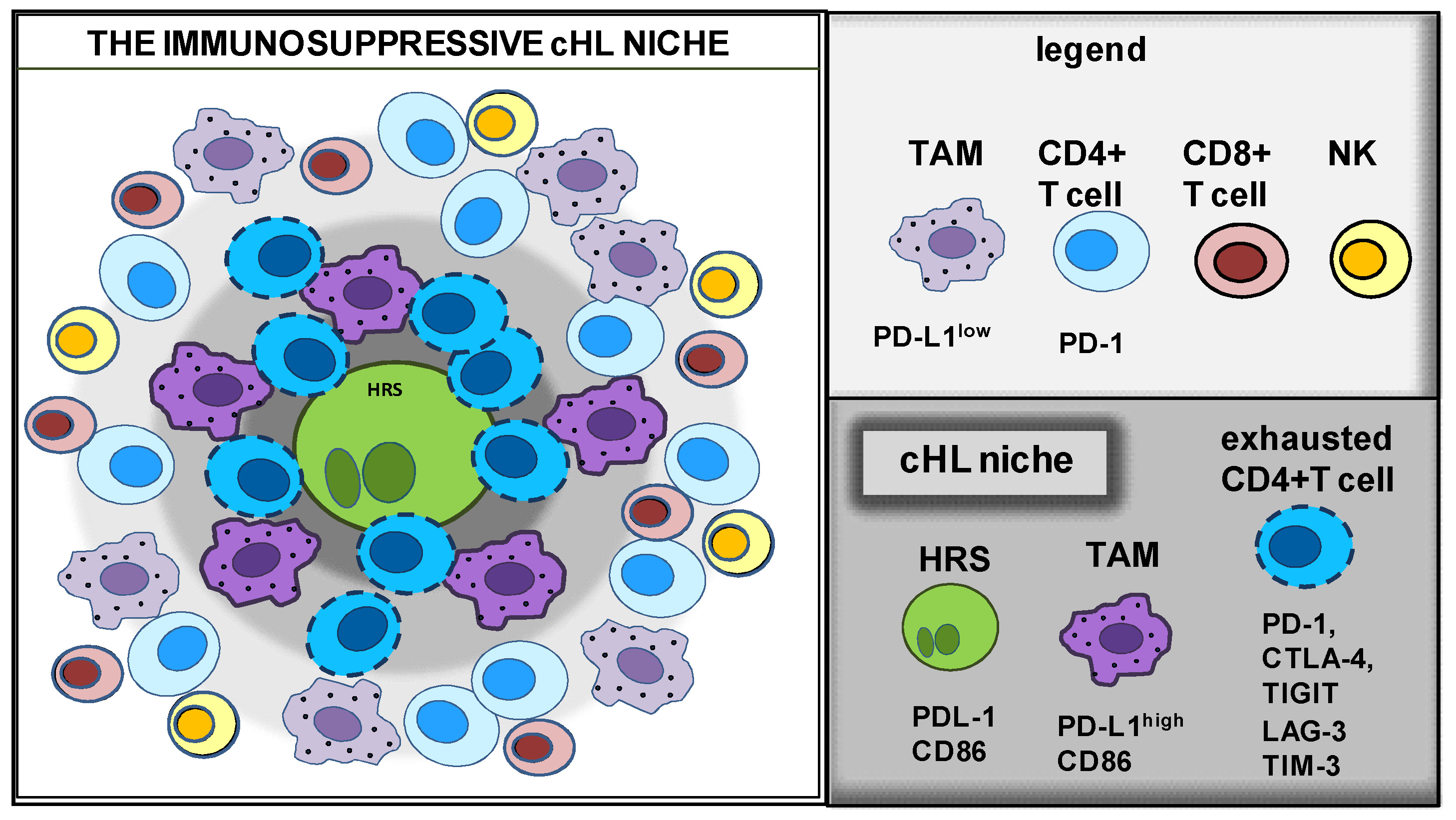 Cancers 14 02427 g004