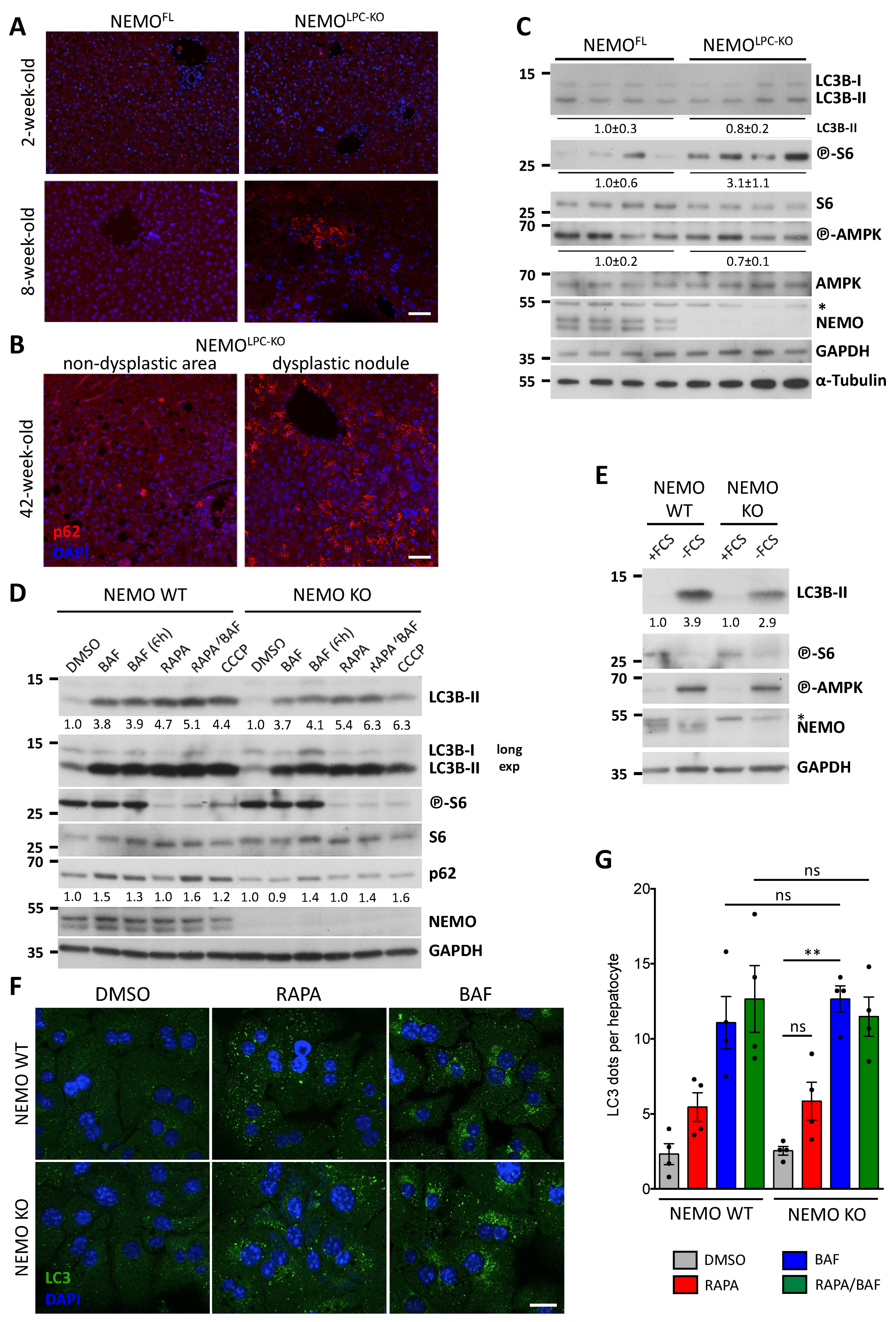 Cancers 14 02436 g001