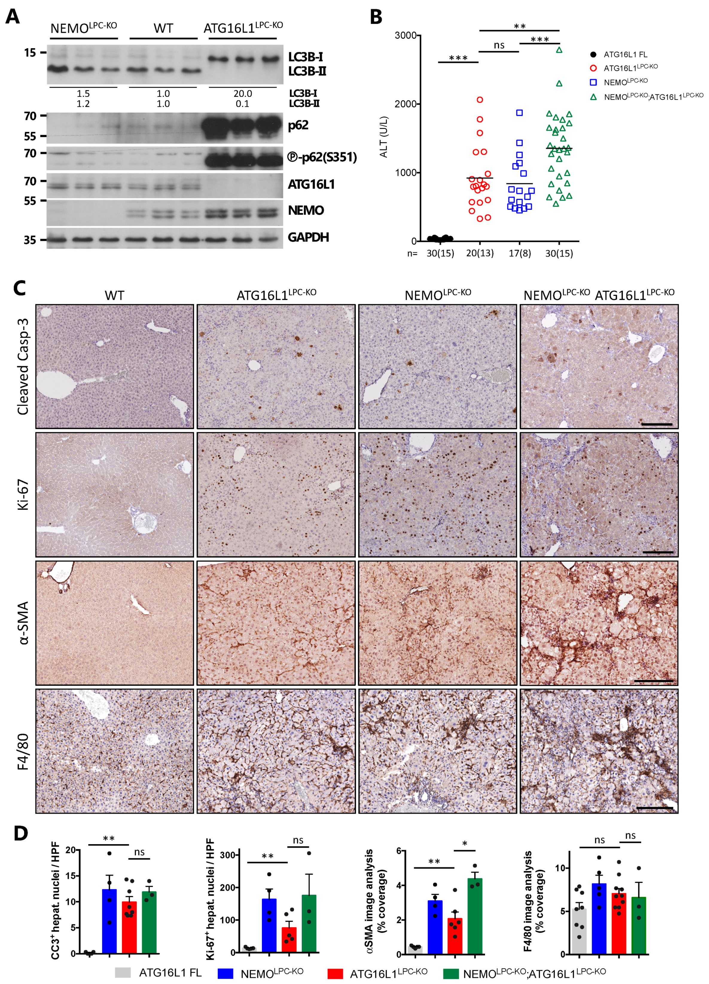 Cancers 14 02436 g002