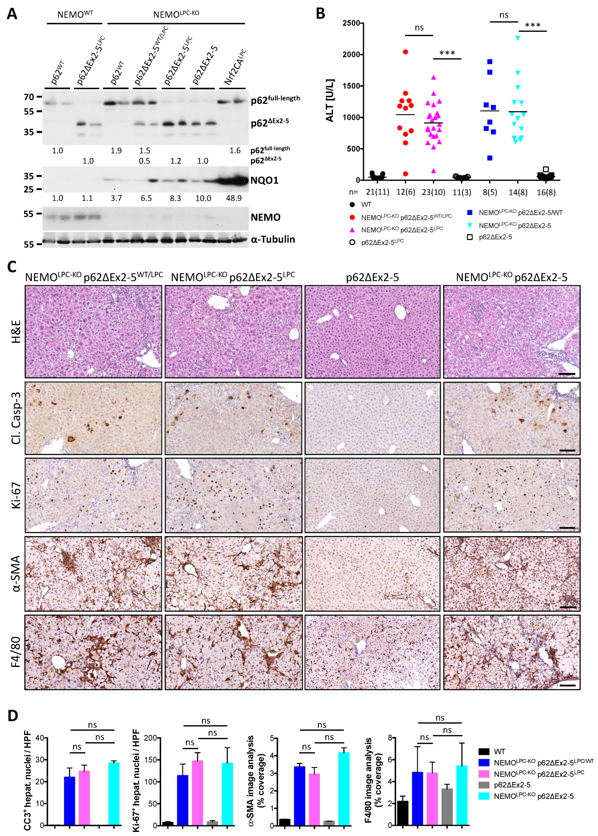 Cancers 14 02436 g004