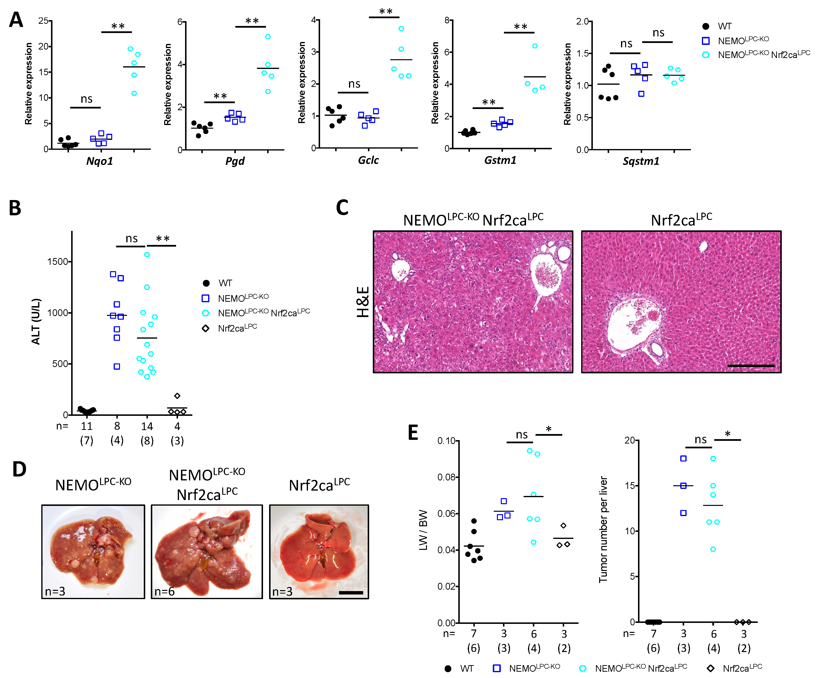 Cancers 14 02436 g006