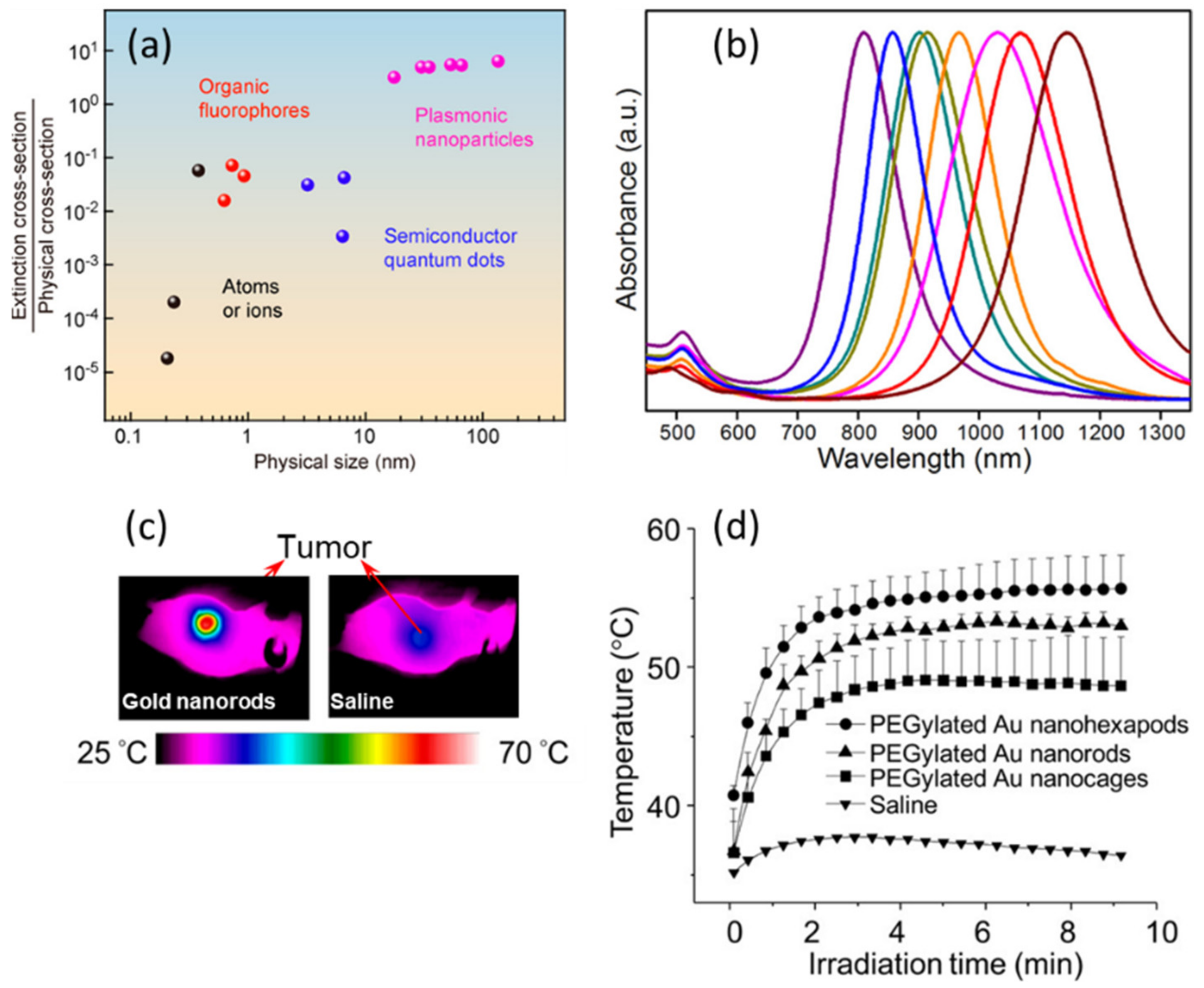 Cancers 14 02456 g001