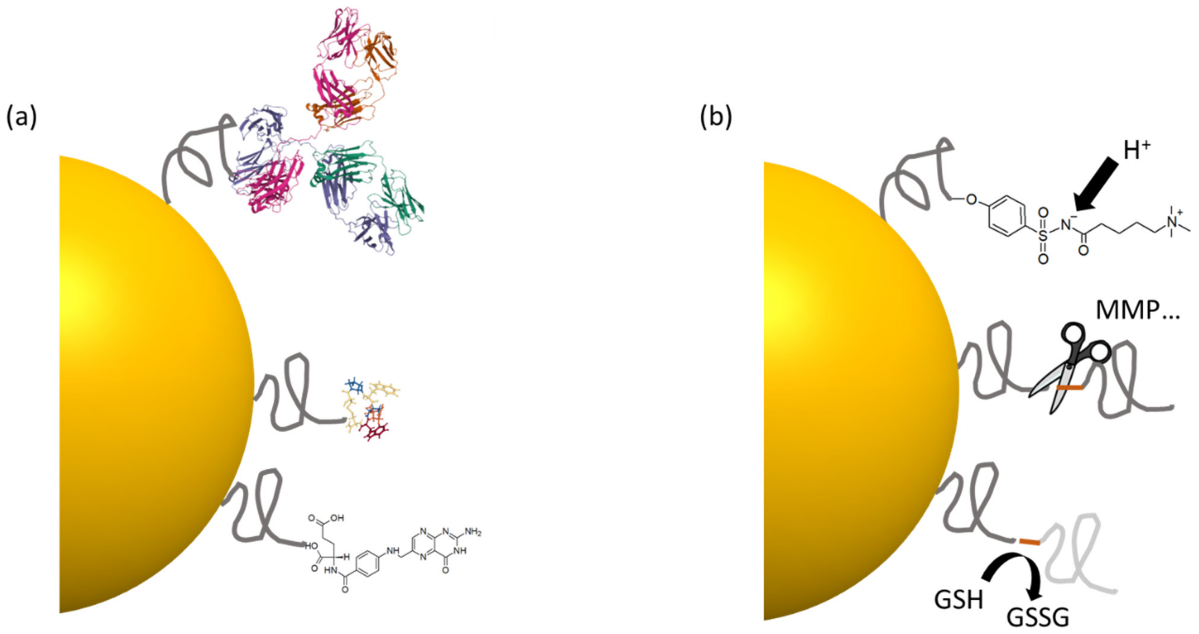 Cancers 14 02456 g006