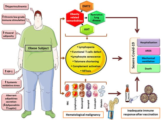 Cancers | Free Full-Text | Management of Hematologic Malignancies in ...