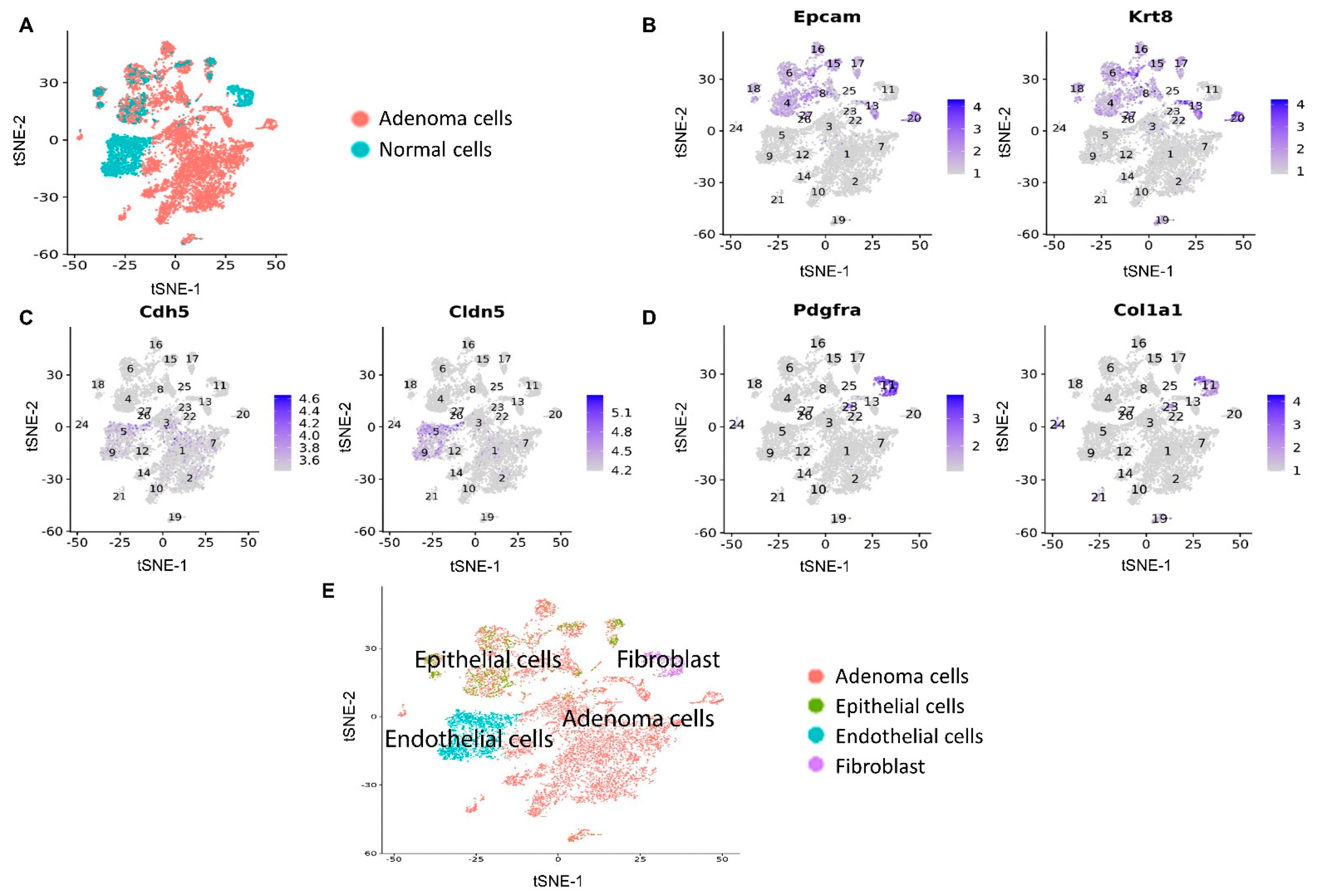 Cancers 14 02538 g002