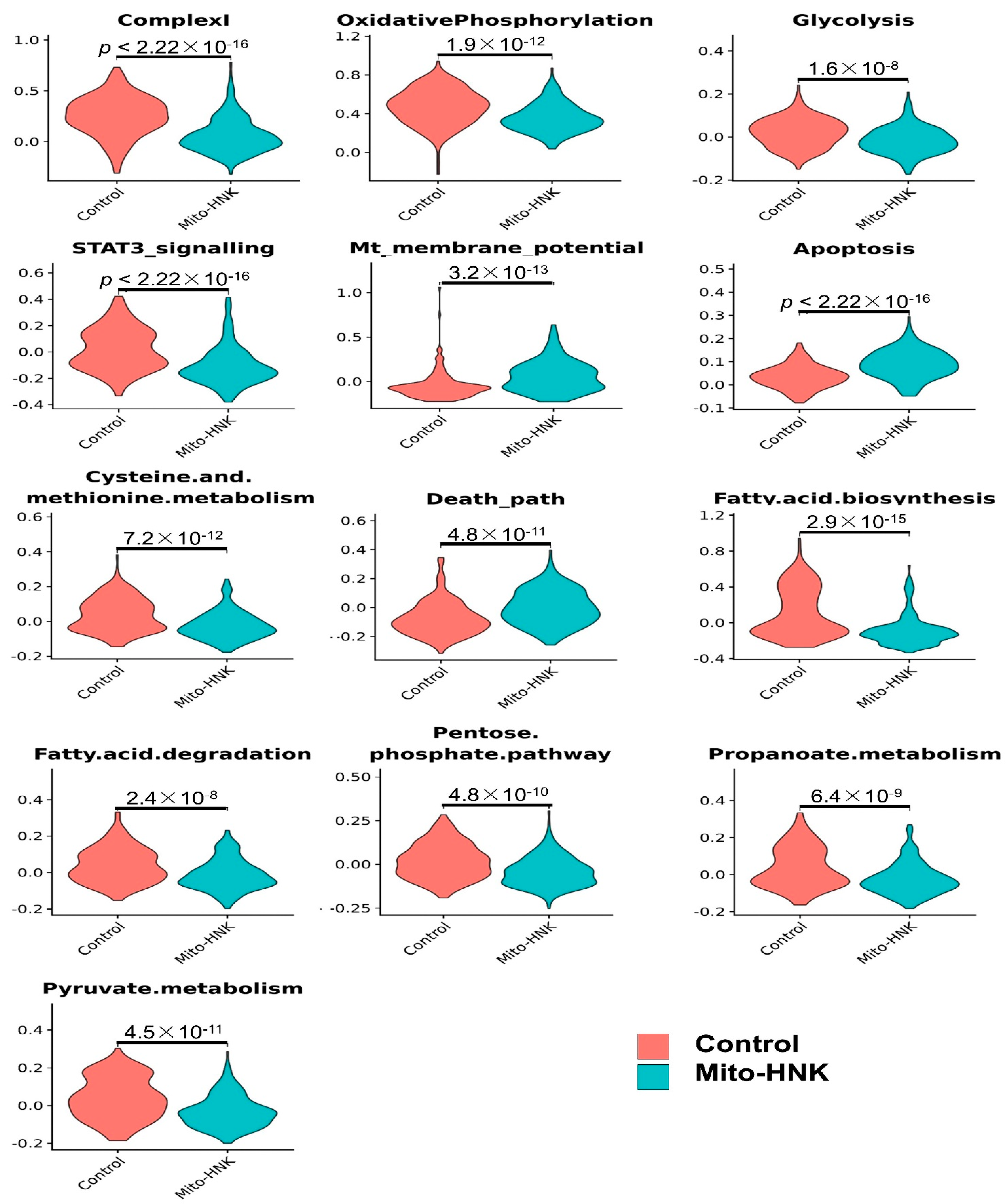 Cancers 14 02538 g004