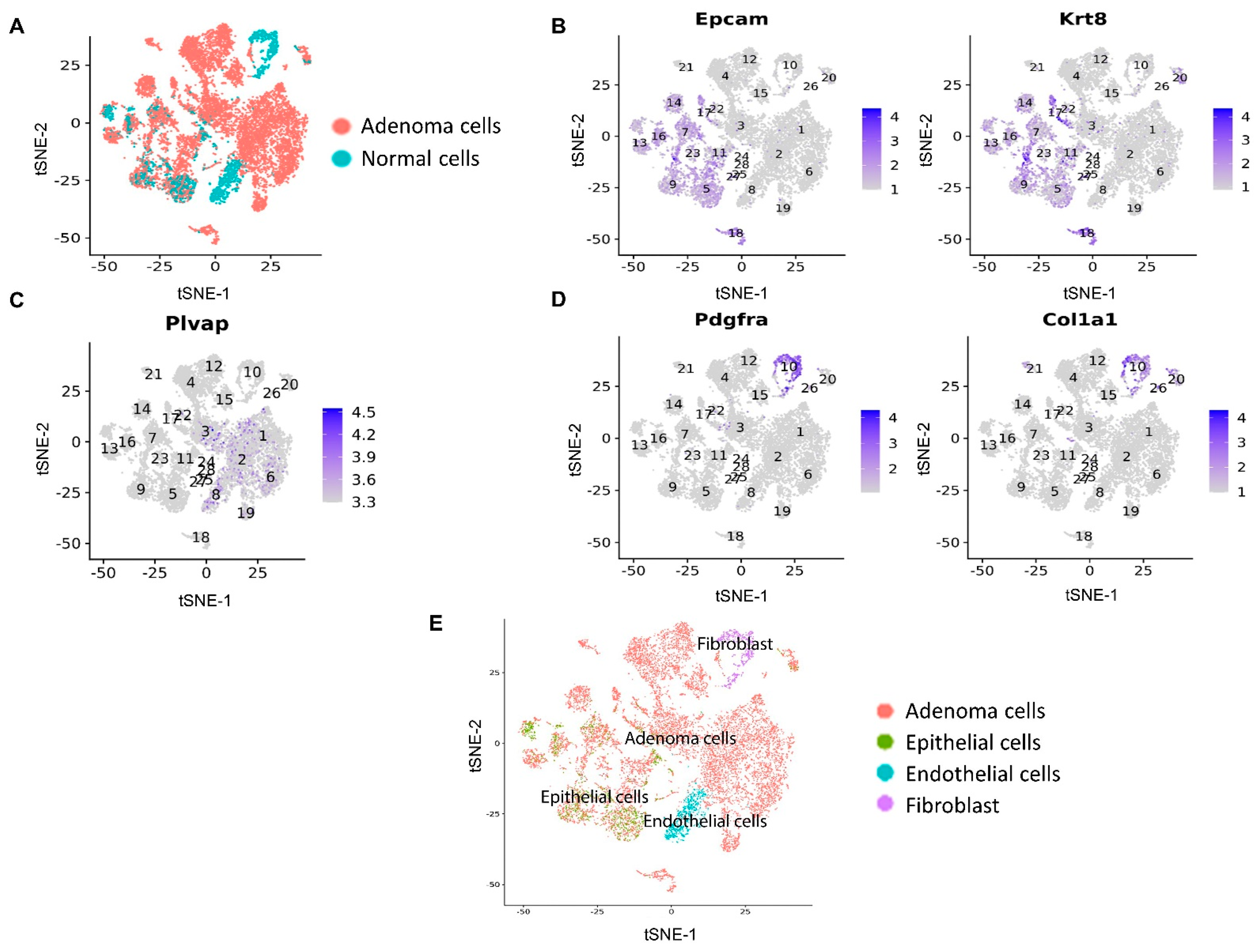 Cancers 14 02538 g005