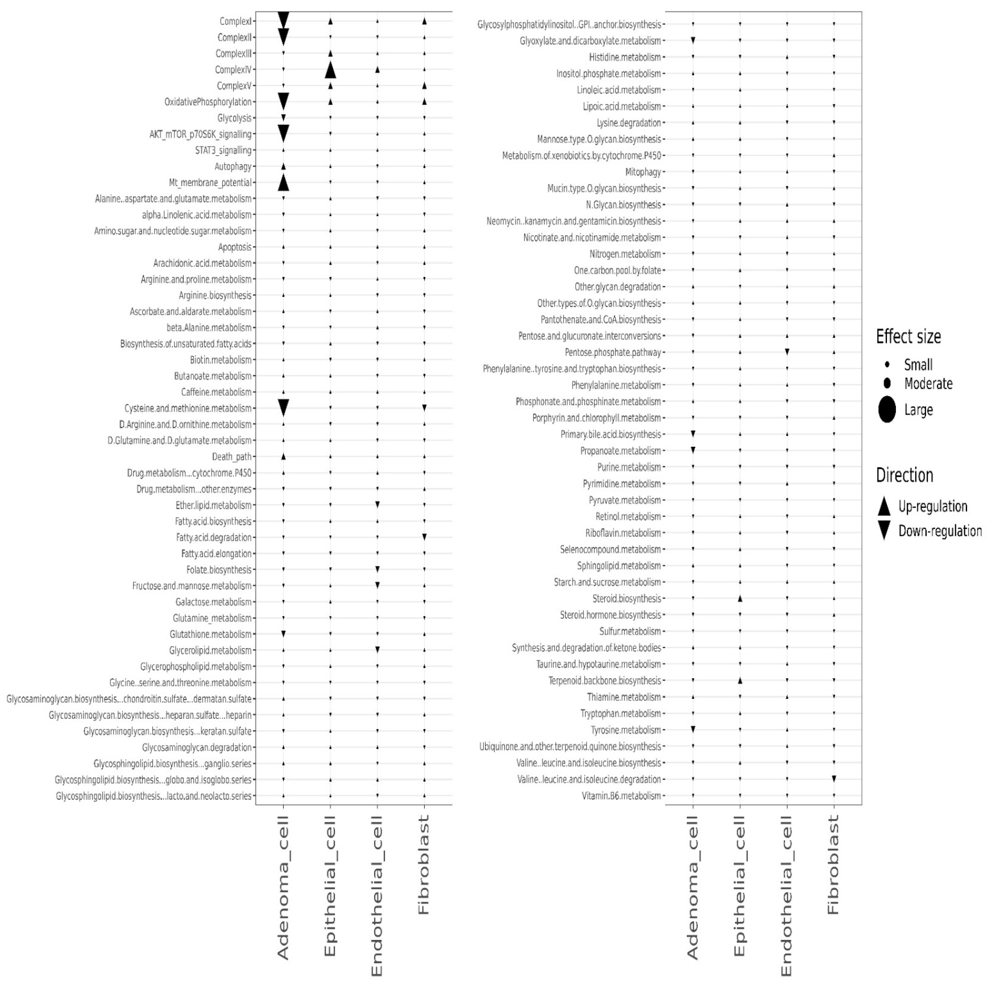 Cancers 14 02538 g006