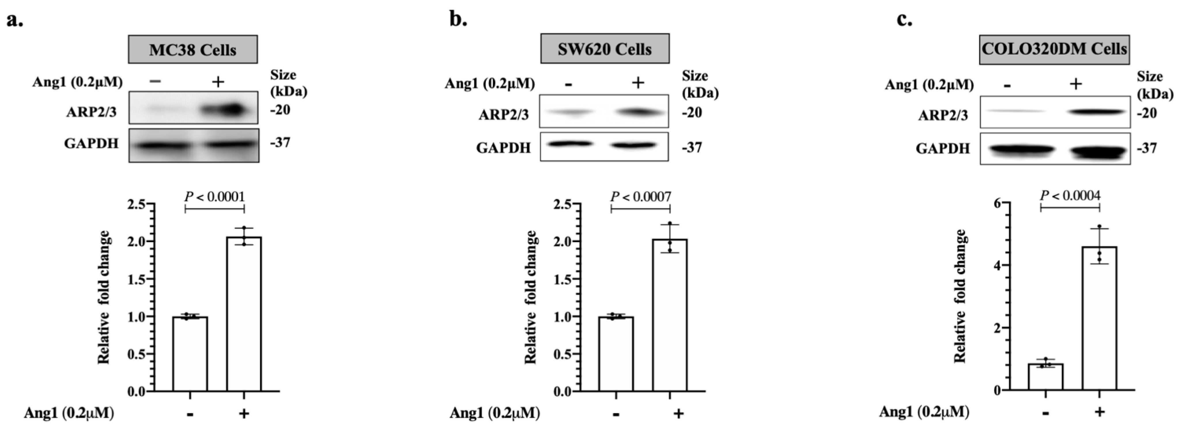 Cancers 14 02540 g001 Cancers 14 02540 g001