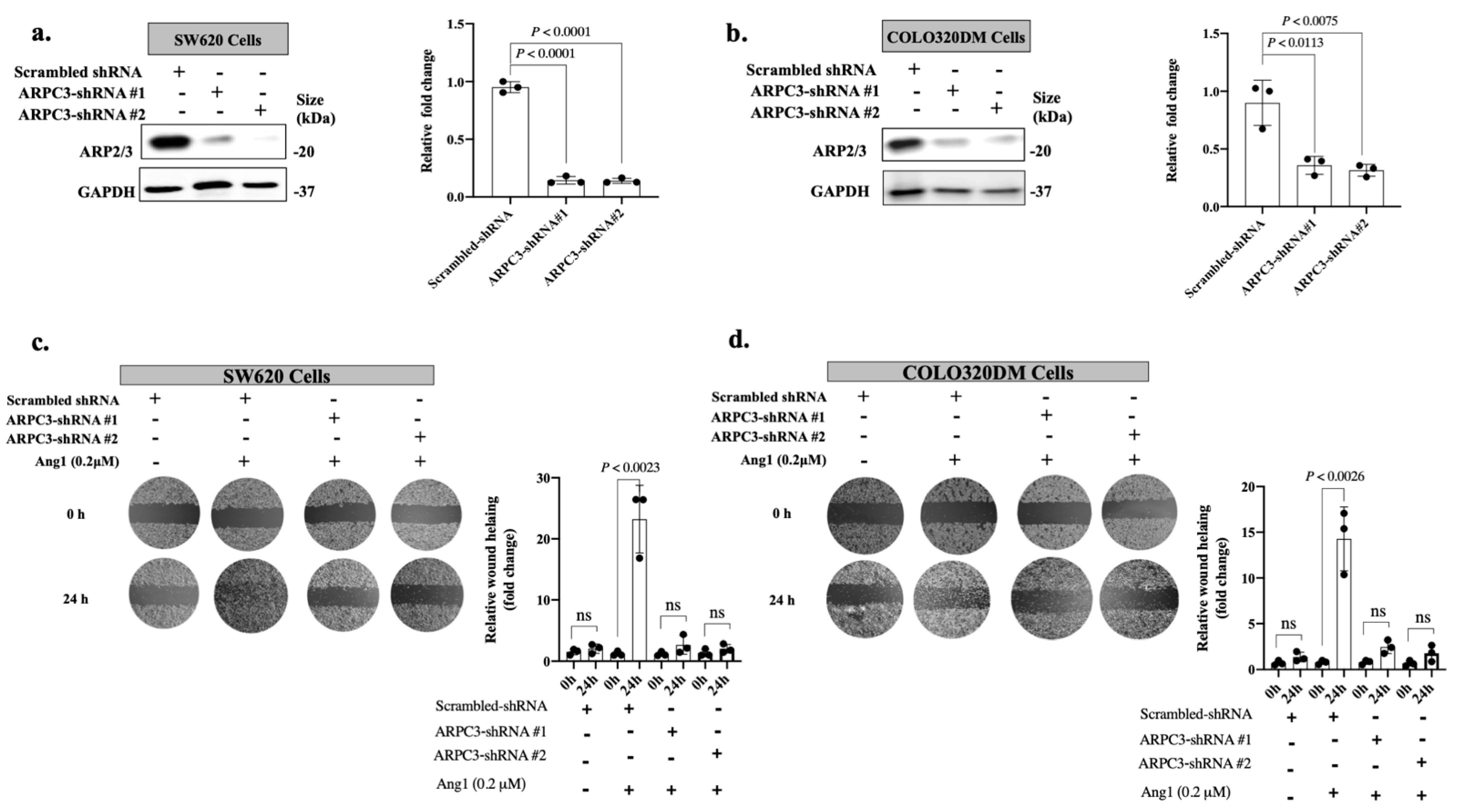 Cancers 14 02540 g003 Cancers 14 02540 g003