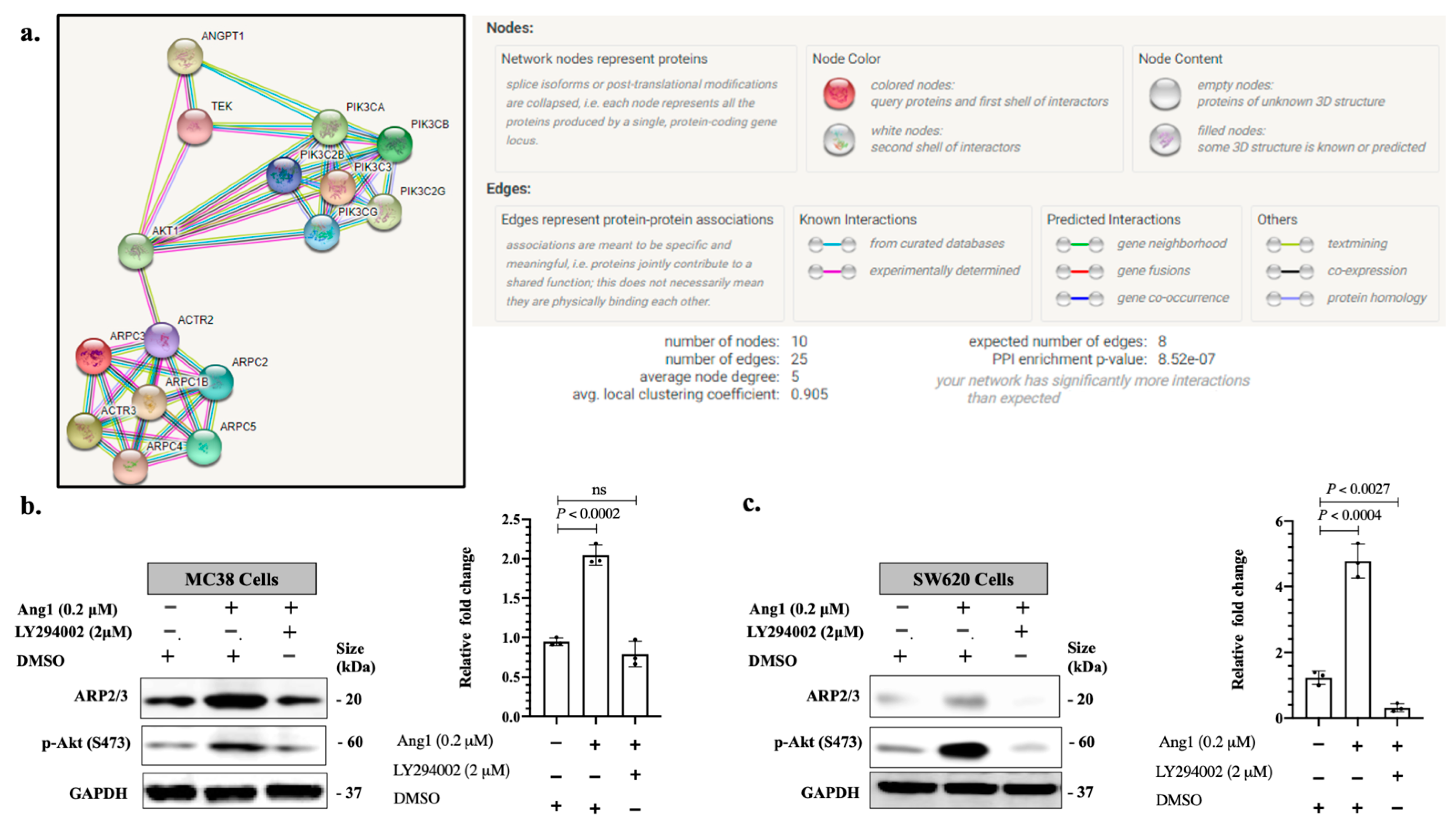 Cancers 14 02540 g005 Cancers 14 02540 g005