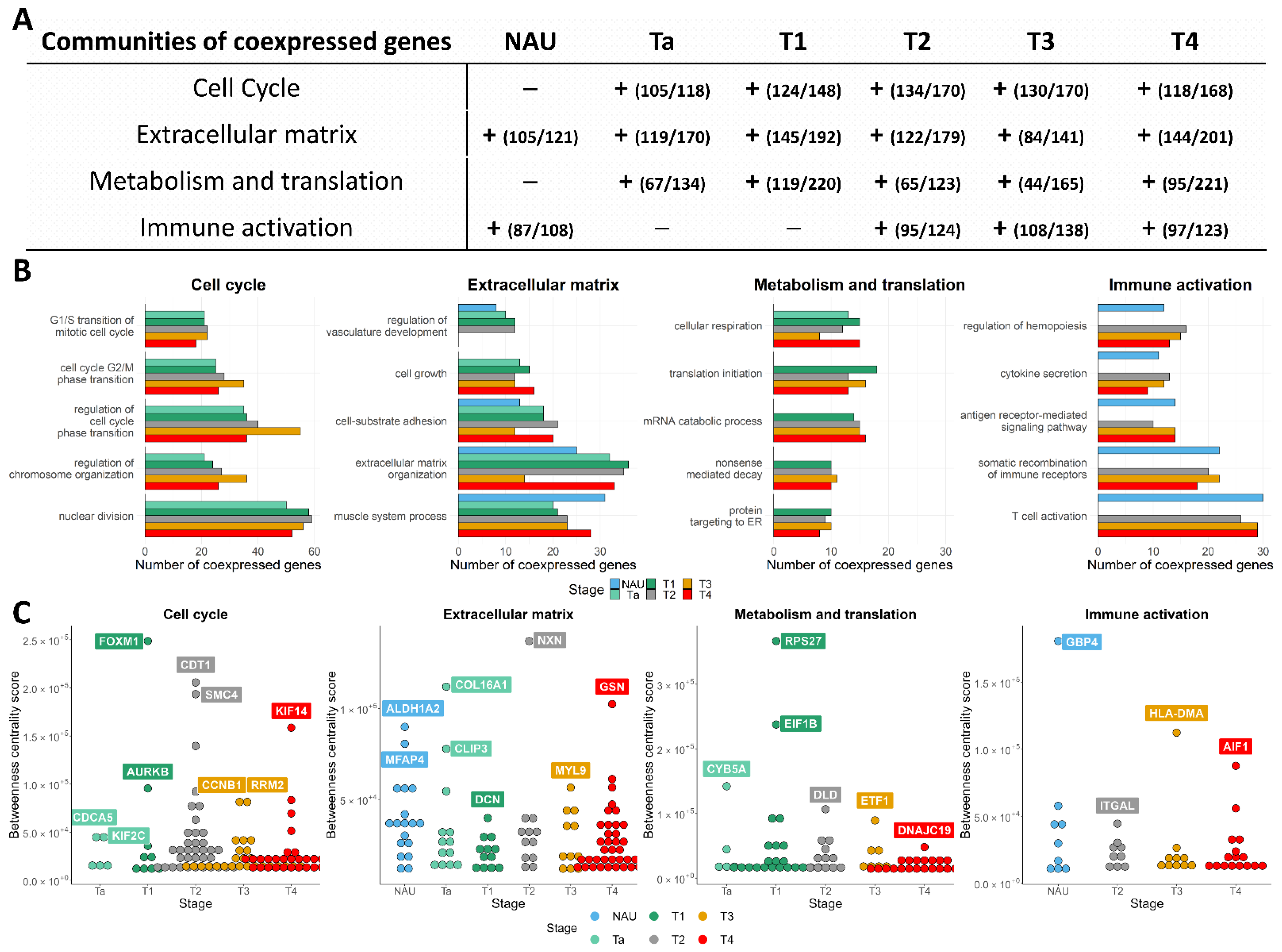 Cancers 14 02542 g003 Cancers 14 02542 g003