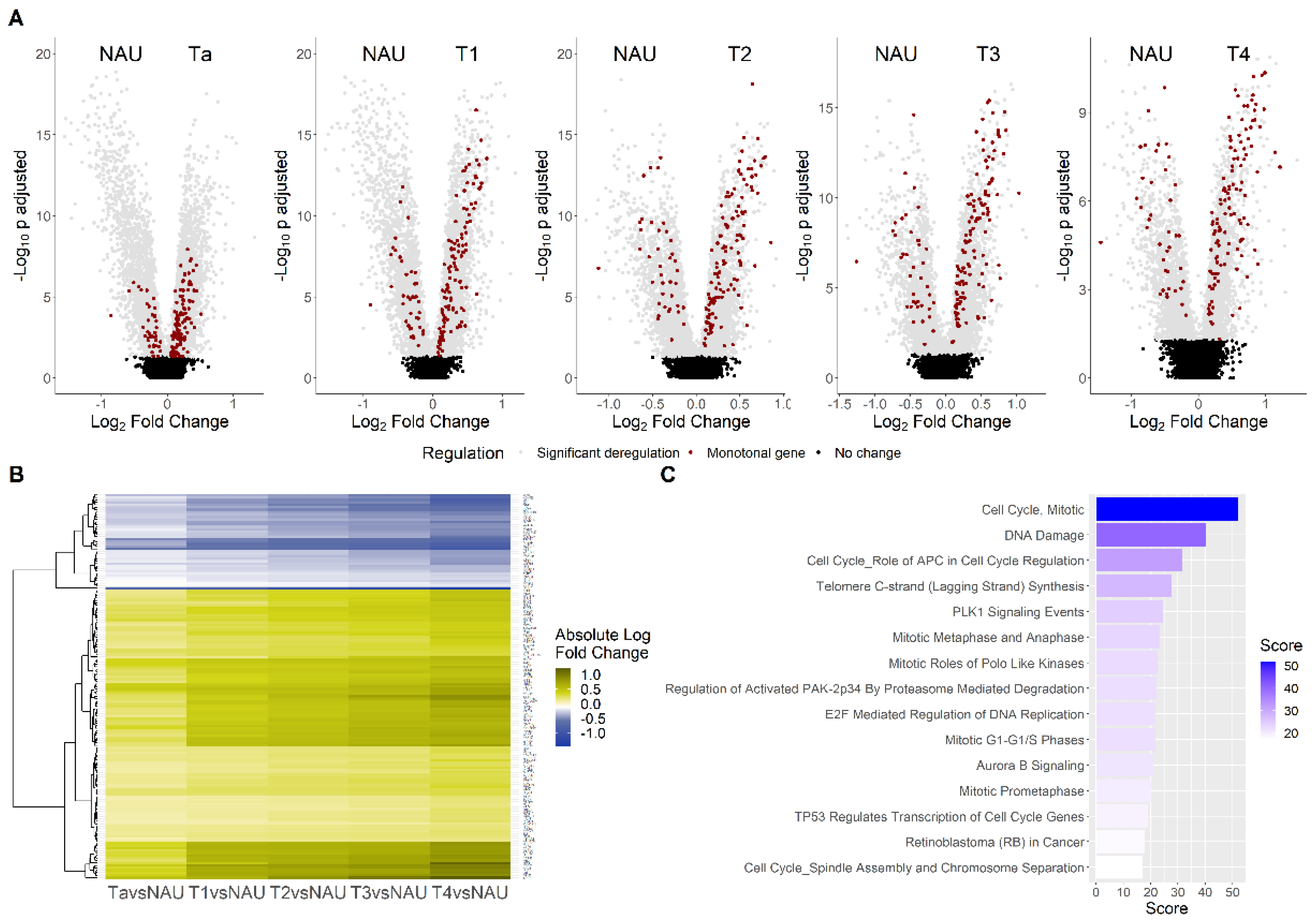 Cancers 14 02542 g004 Cancers 14 02542 g004