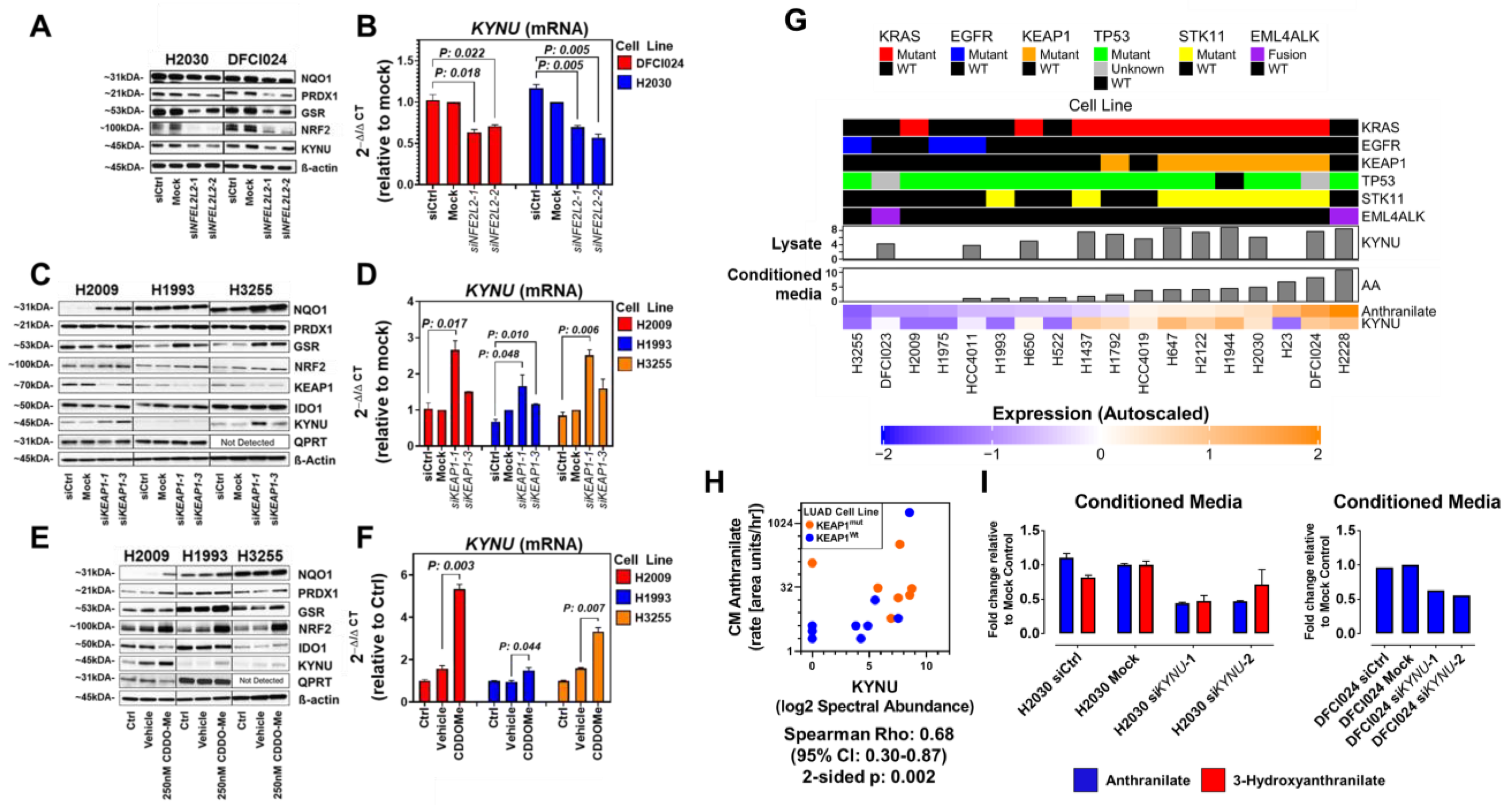 Cancers 14 02543 g002