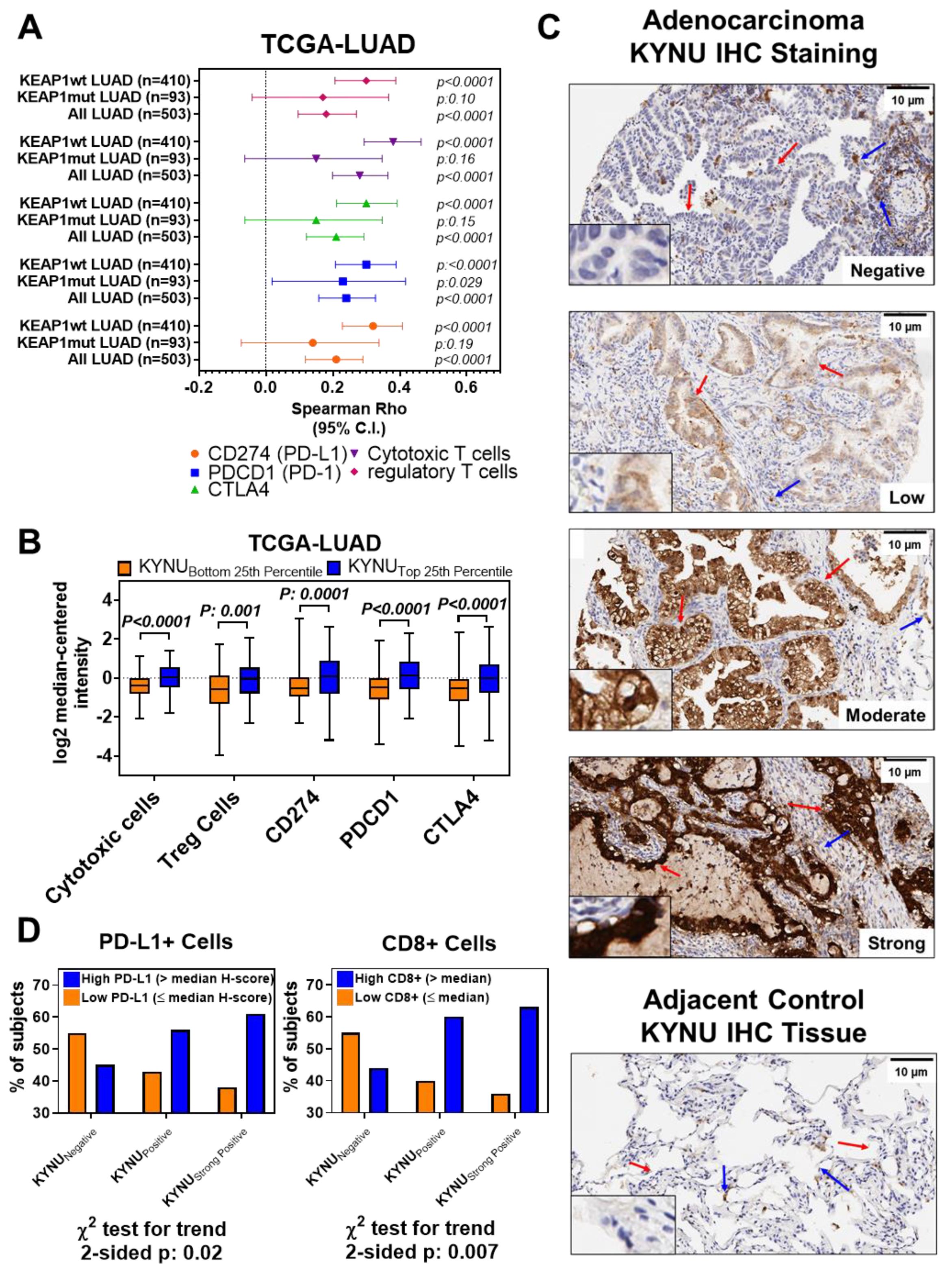 Cancers 14 02543 g003
