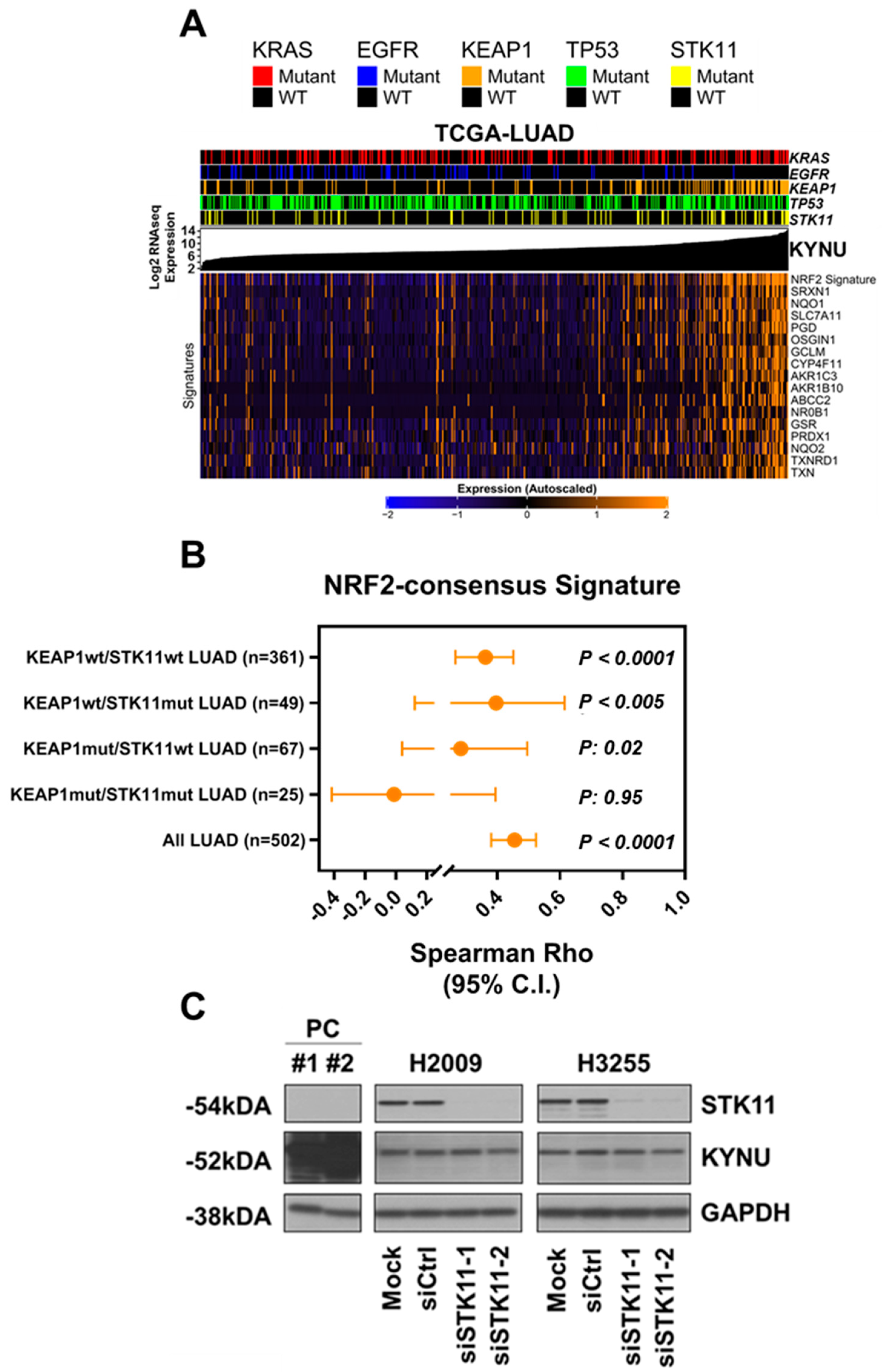 Cancers 14 02543 g0a3