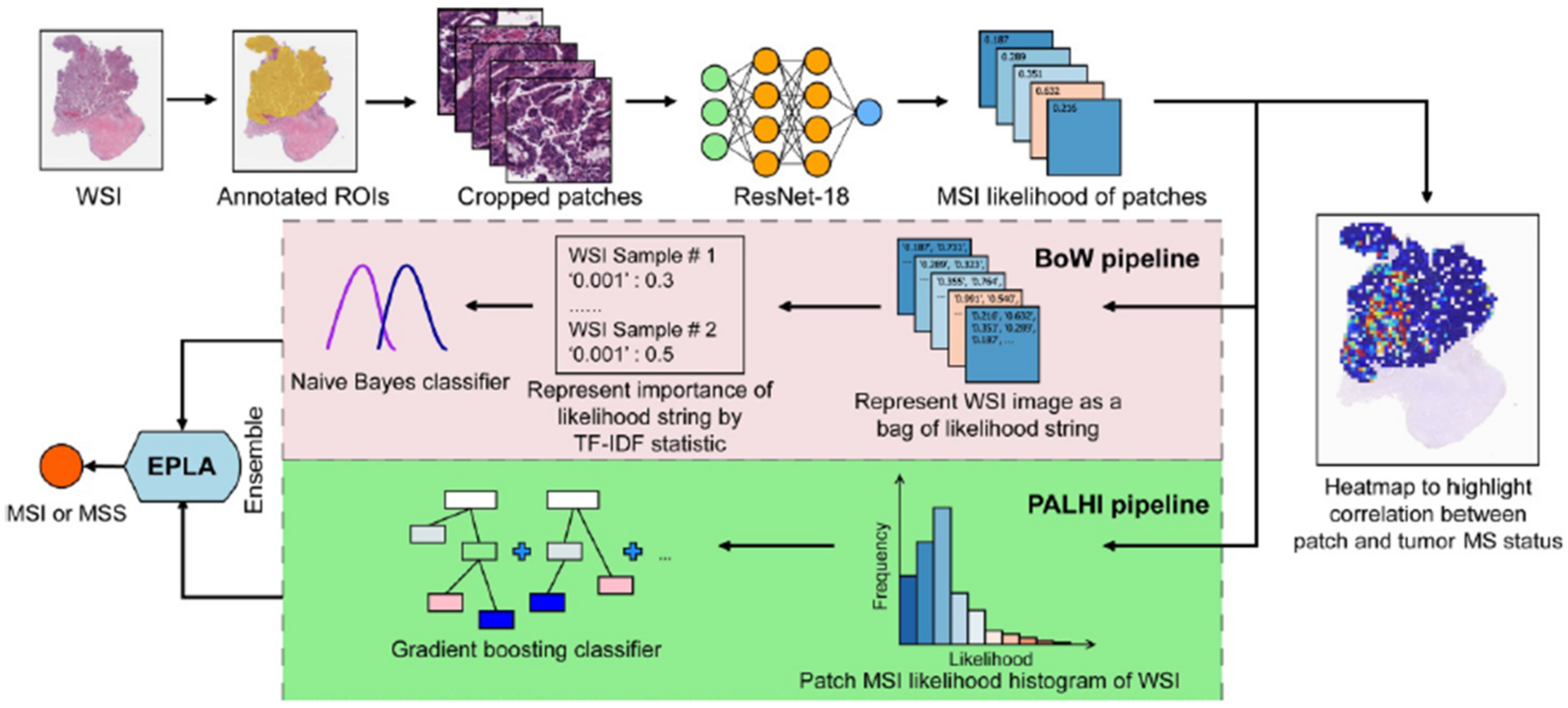 Cancers 14 02590 g005