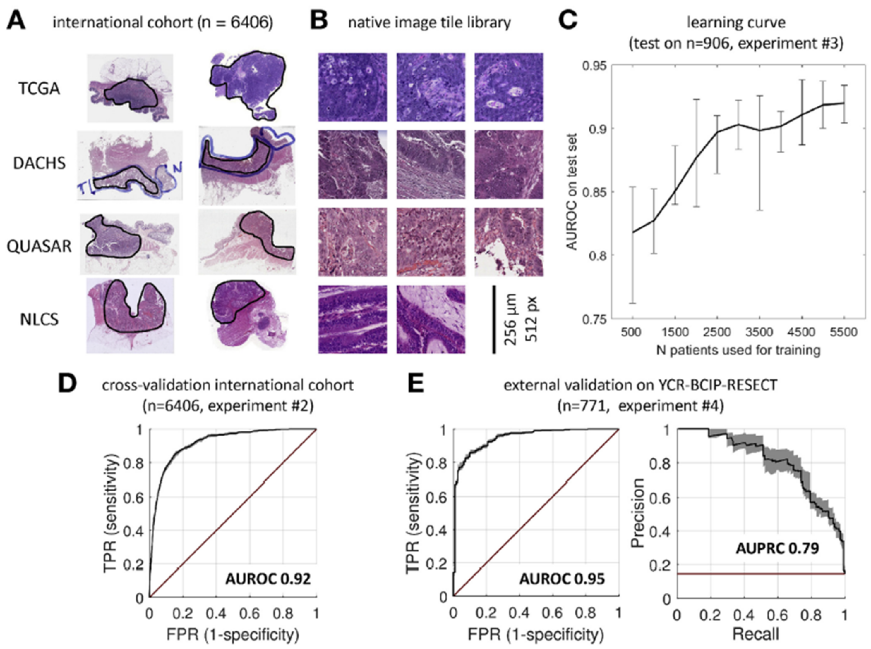 Cancers 14 02590 g008