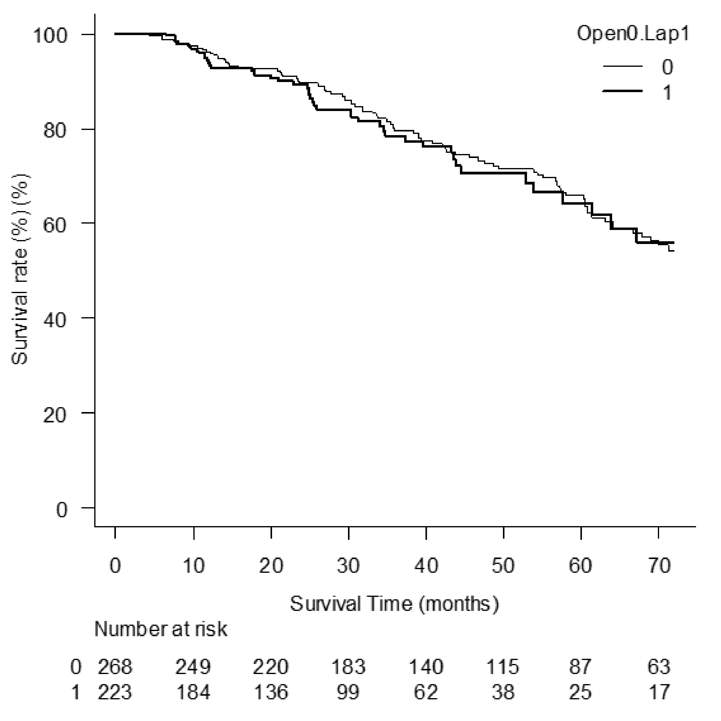 Cancers | Free Full-Text | An International Retrospective Observational  Study of Liver Functional Deterioration after Repeat Liver Resection for  Patients with Hepatocellular Carcinoma | HTML