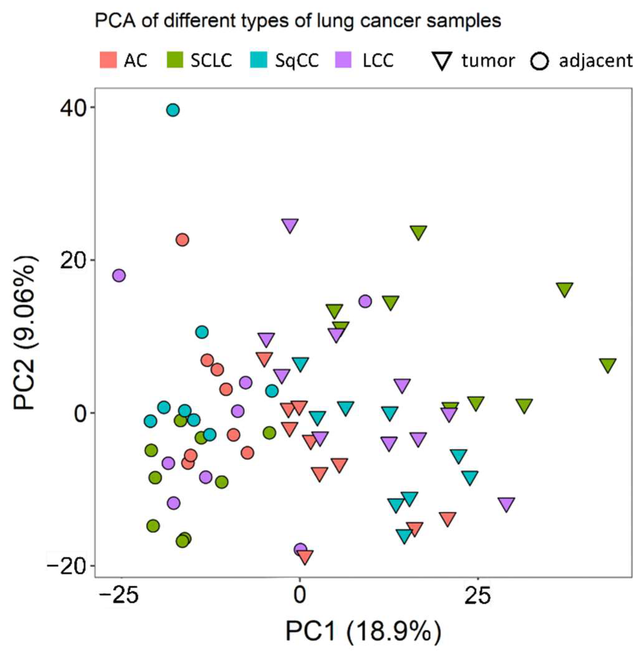 Cancers | Free Full-Text | Proteomic Analysis of Lung Cancer Types&mdash;A  Pilot Study