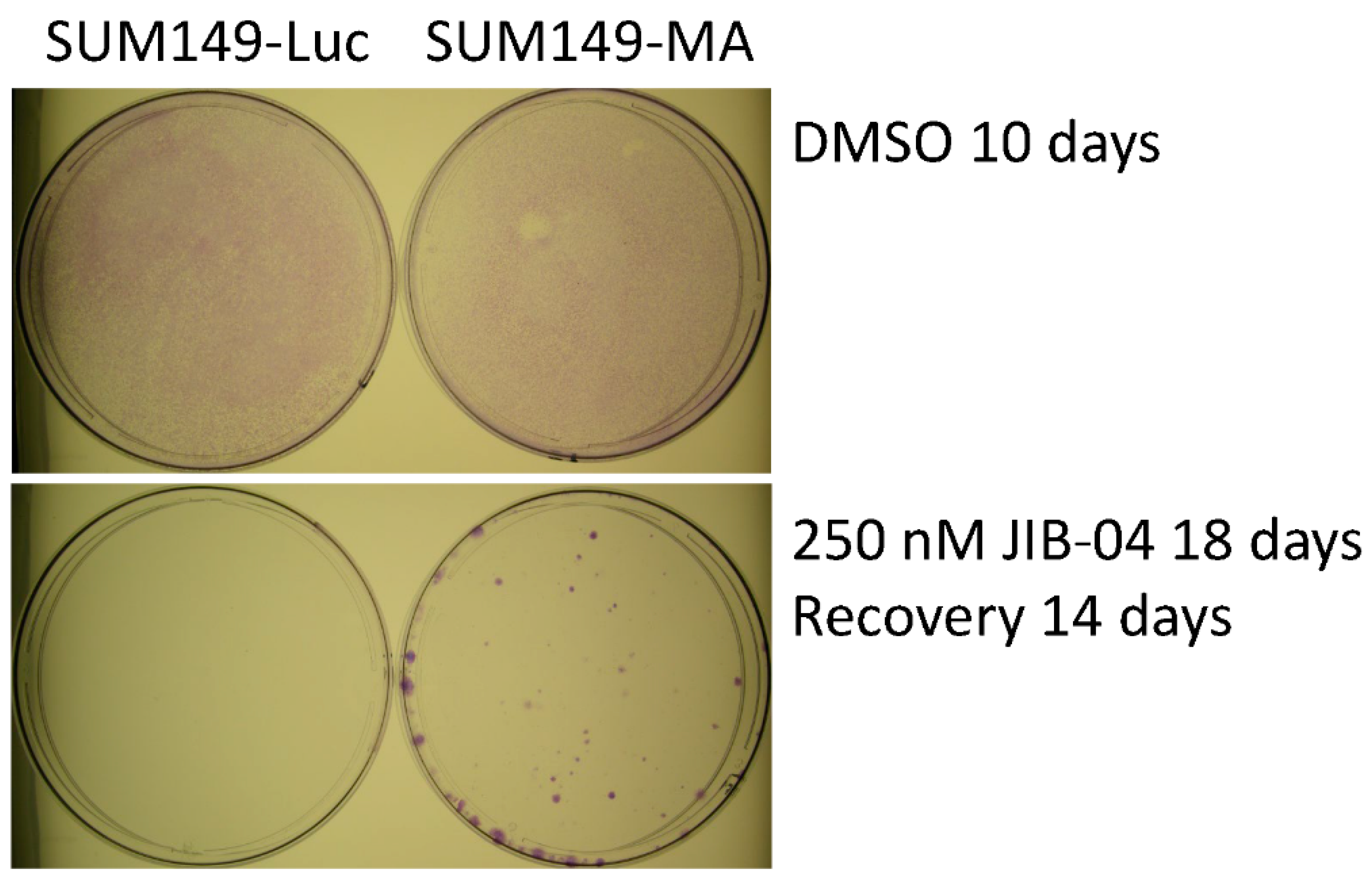 Cancers 14 02631 g001